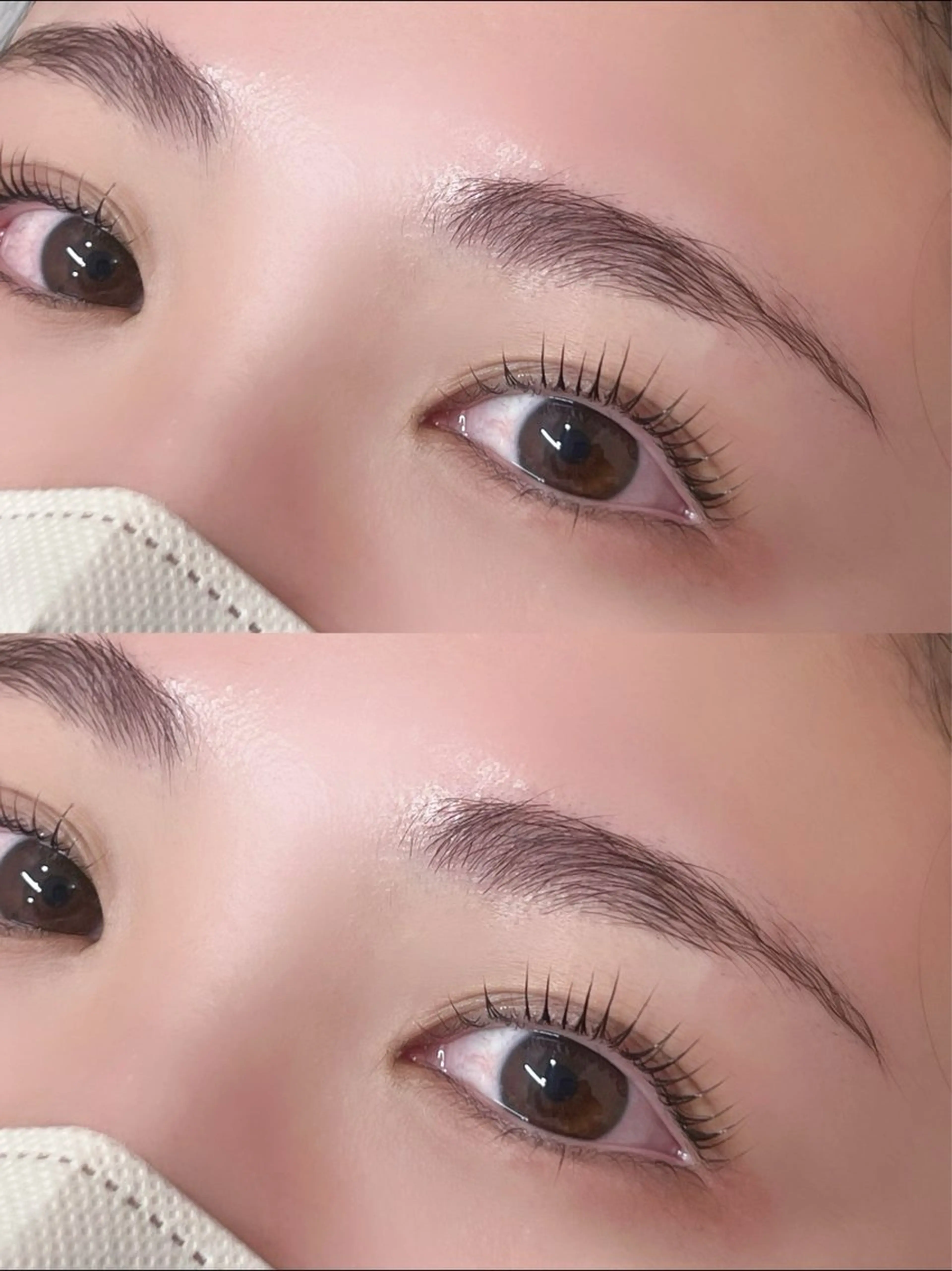 [ U22 学割 ] パリジェンヌorラッシュリフト🫧の写真