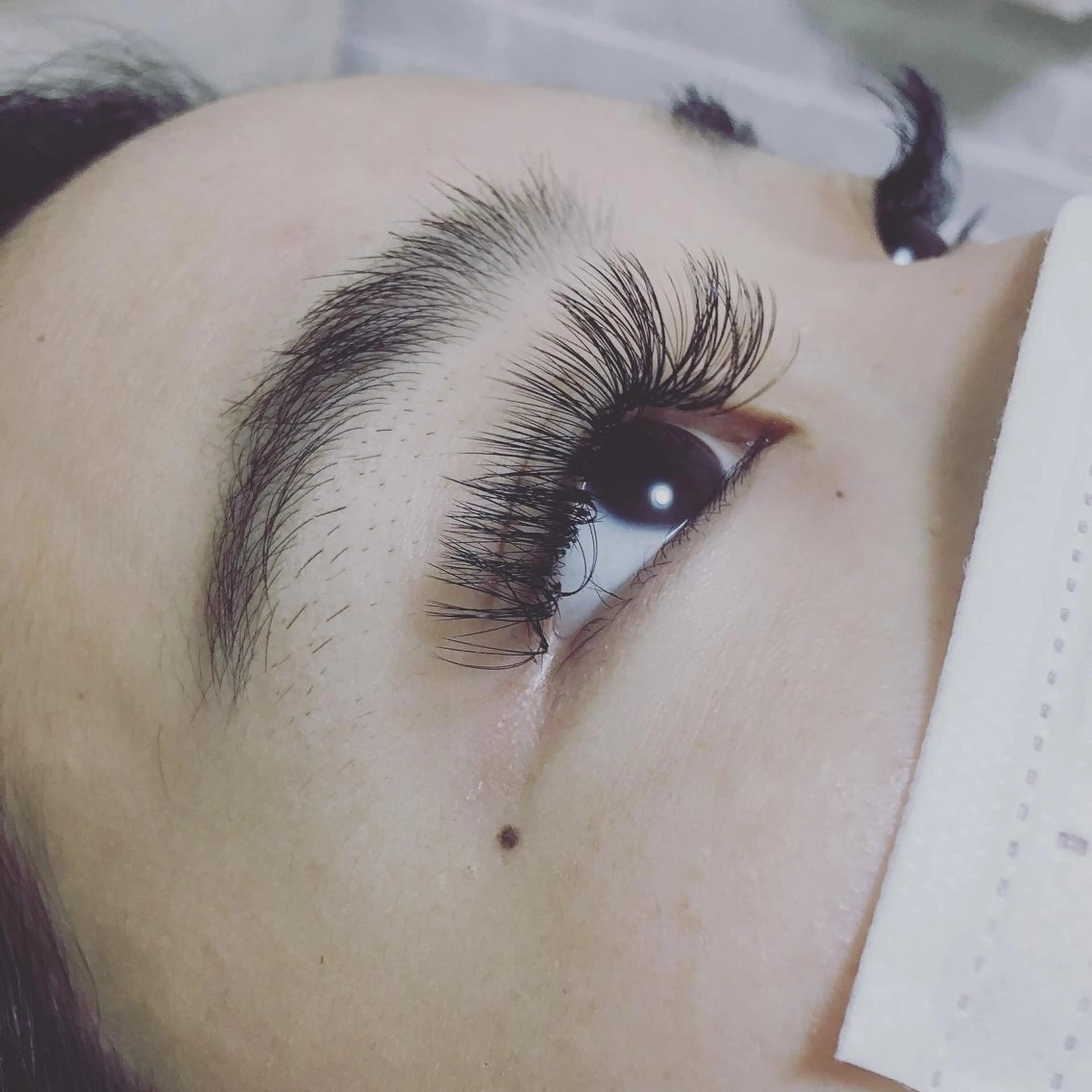 マツエク・マツパ ボリュームラッシュ lalalia eye&epiのマツエク・マツパデザイン