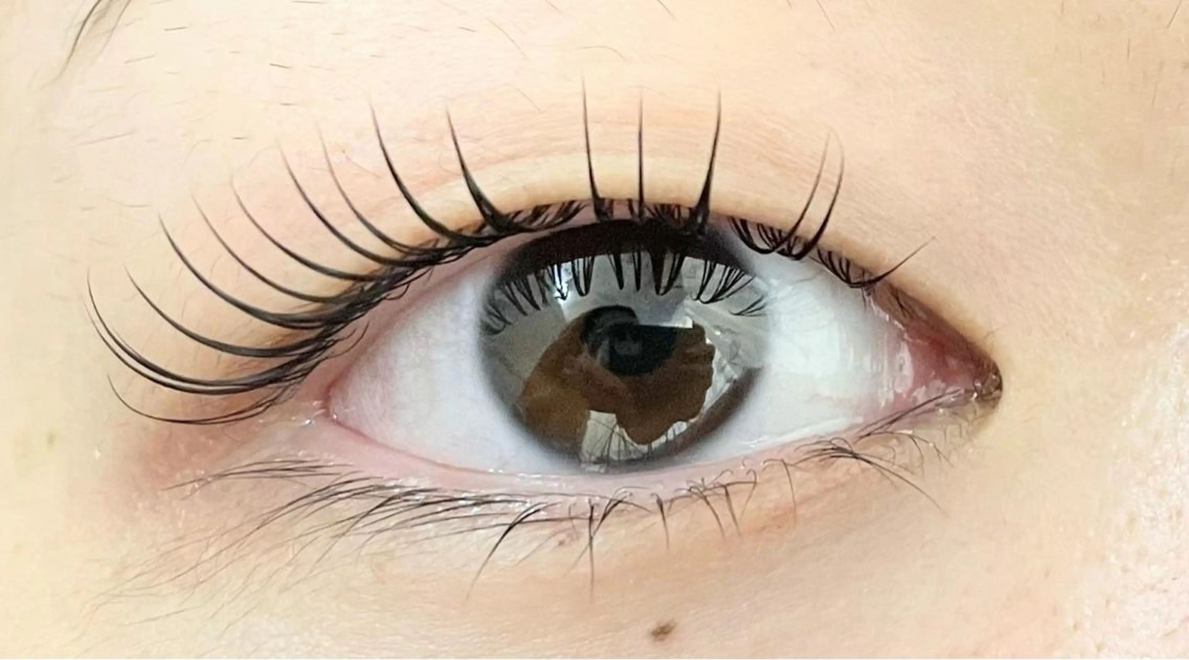 マツエク・マツパ eyelash  salon fまつエク・まつげパーマ【フランク】所属・eyelash f　香里園のマツエク・マツパデザイン