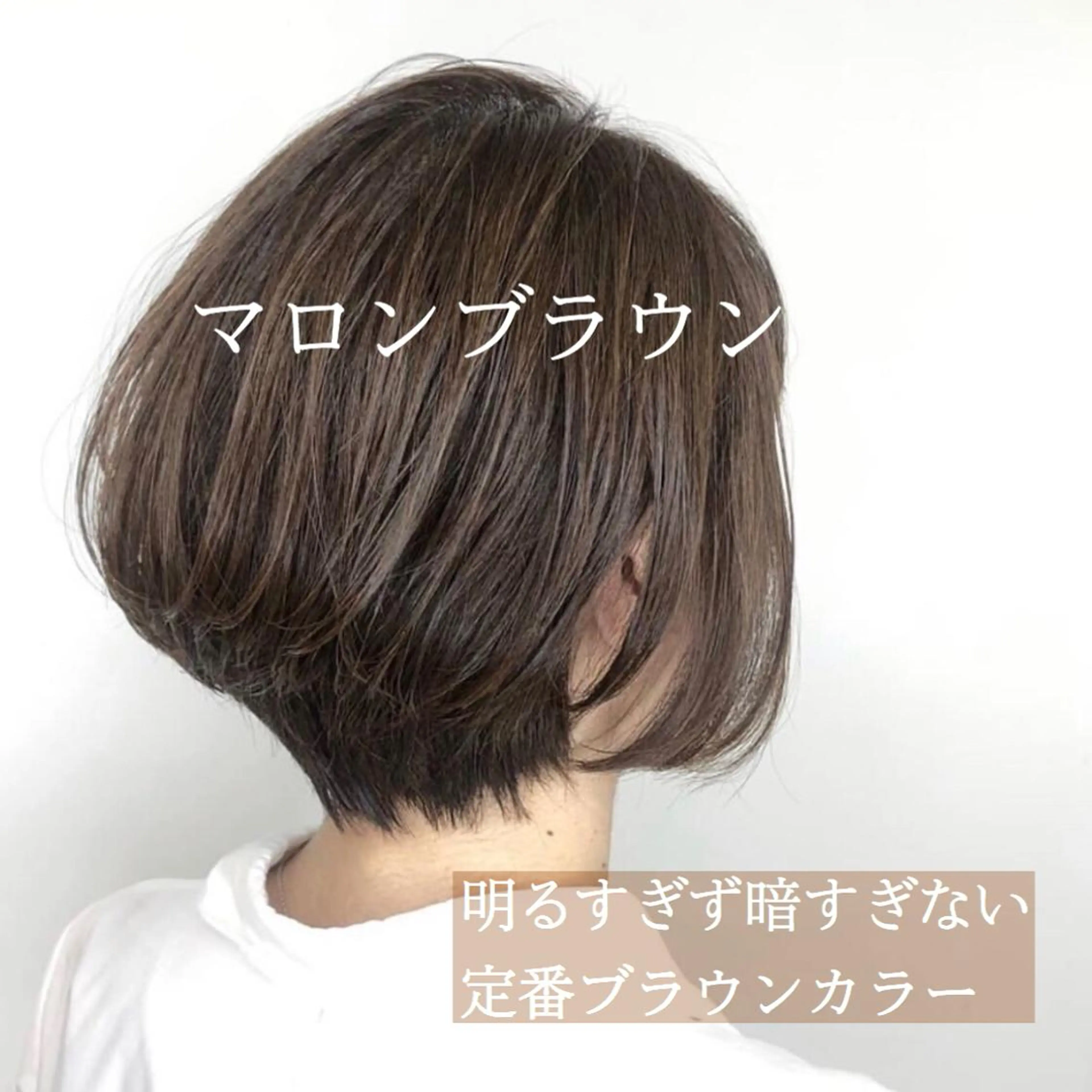ショート カラー ブラウンカラー 透明感カラー 🥀韓国アイドルヘア 𝐡𝐚𝐫𝐮🥀のヘアスタイル