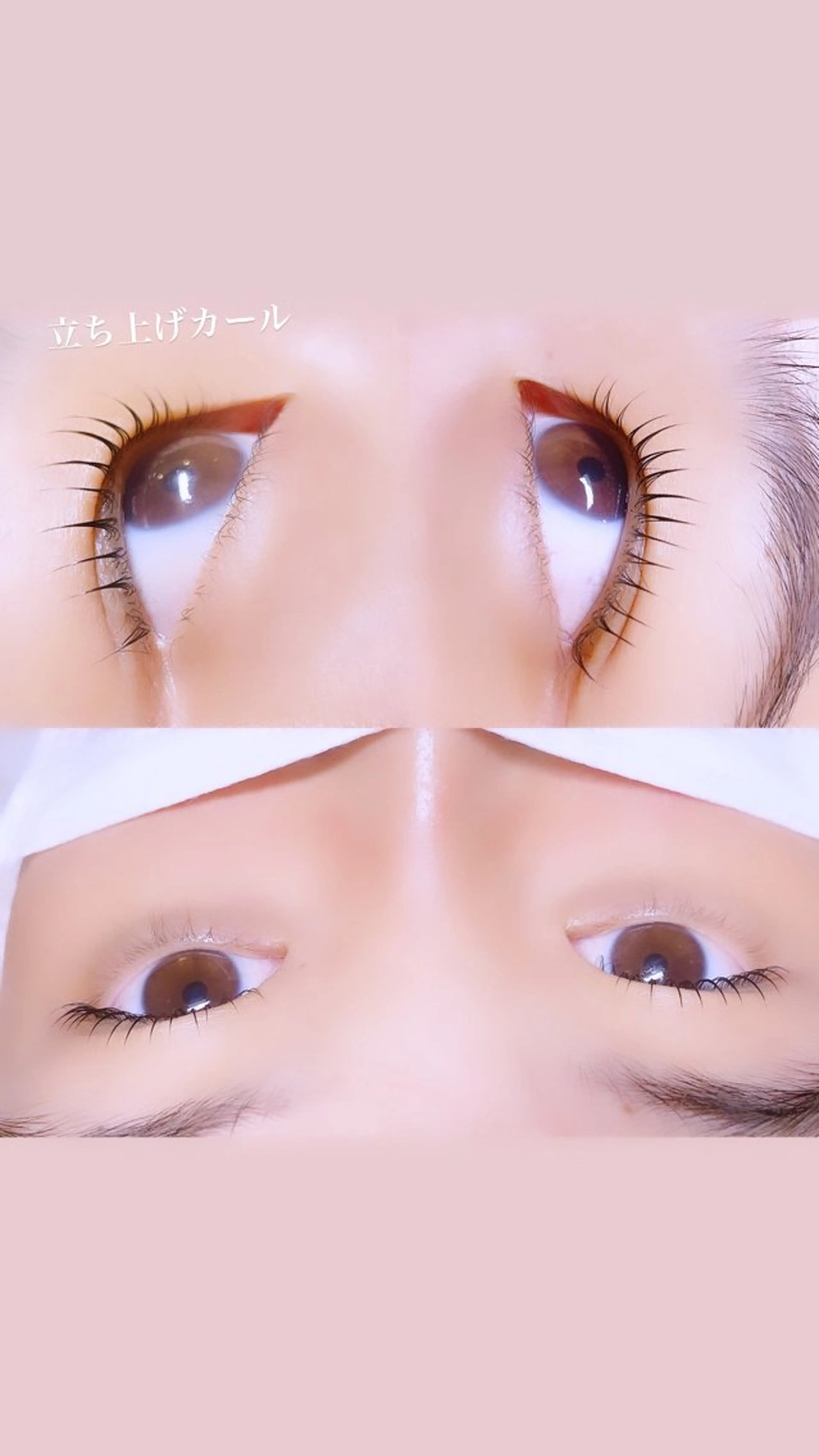 マツエク・マツパ キュート ロニセラ アイラッシュのマツエク・マツパデザイン