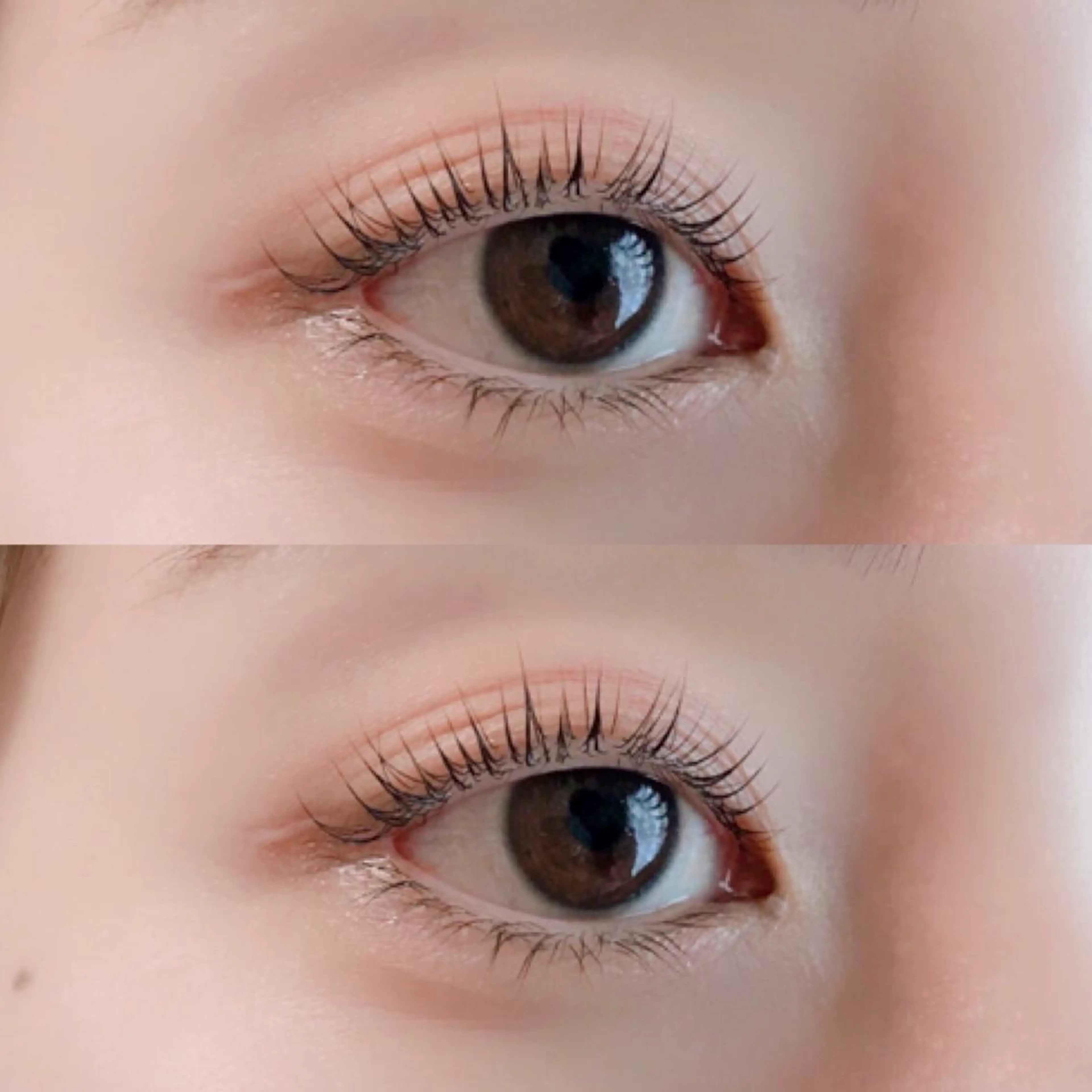マツエク・マツパ マツパ 《eyelash ｉｉｔｅ》森のマツエク・マツパデザイン
