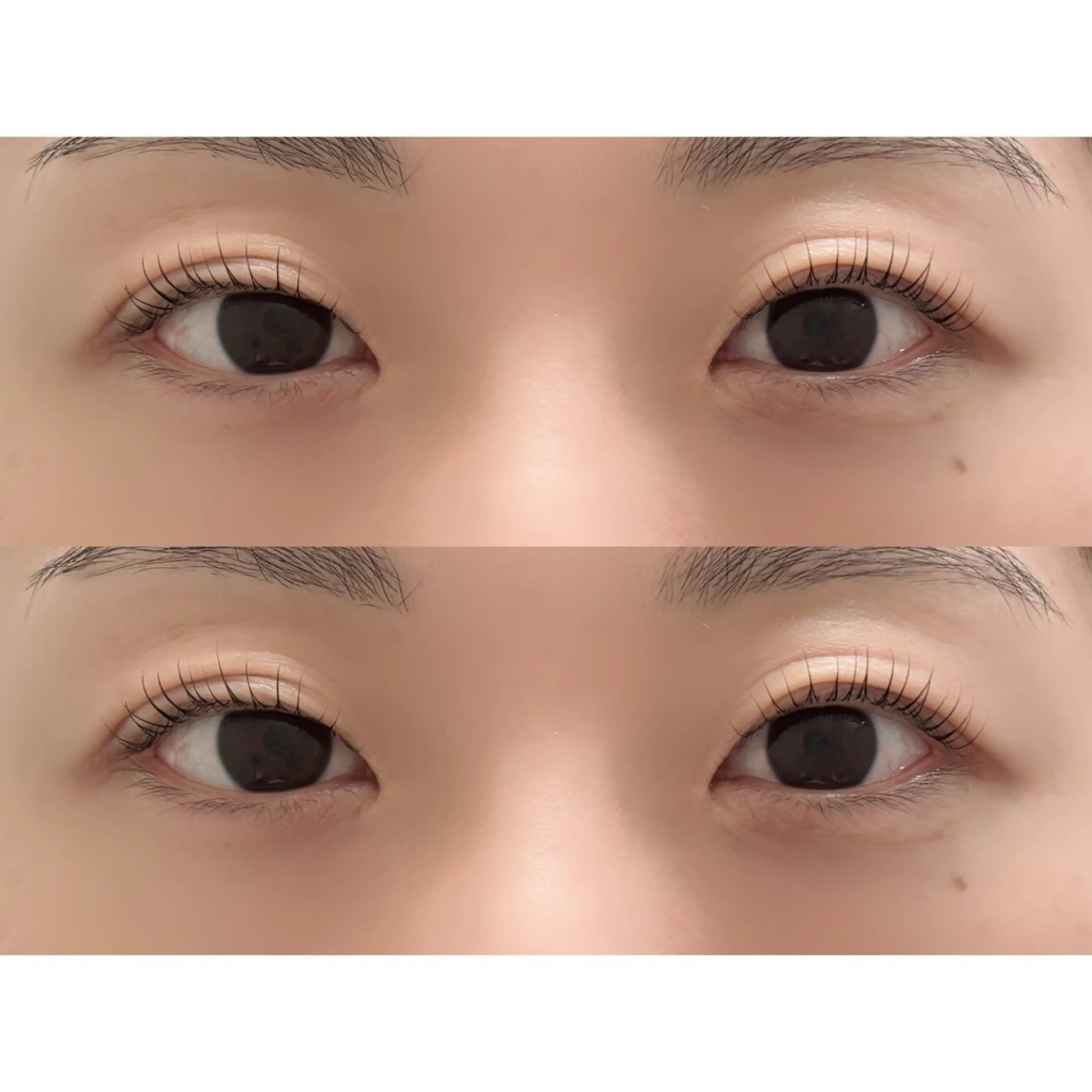 マツエク・マツパ Cカール BEAUTYGENE 🪽よこやまのマツエク・マツパデザイン