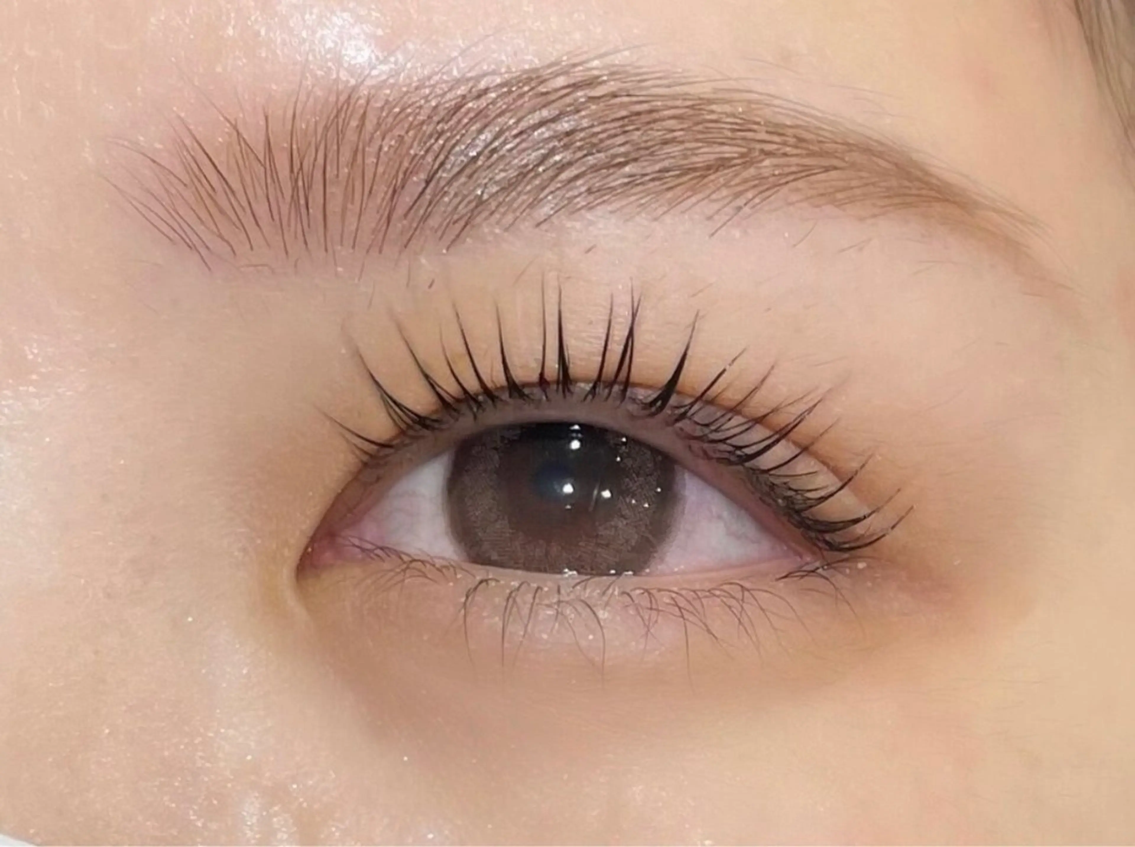 マツエク・マツパ ドーリーラッシュ 福岡伊都所属・DollyLash 瀬脇の眉毛・アイブロウイメージ