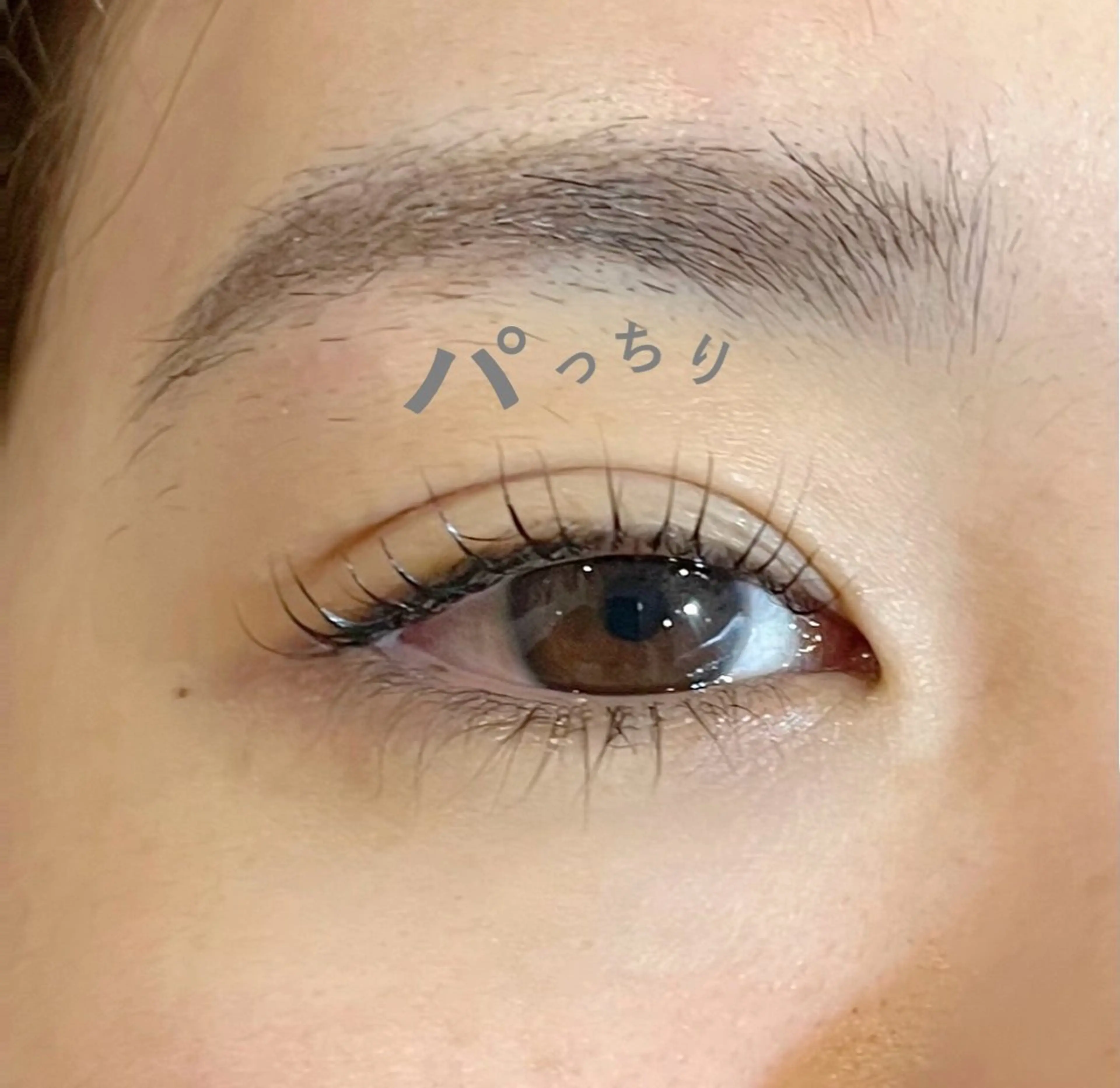 マツエク・マツパ パリジェンヌラッシュリフト まつげパーマ マツパ ♾nail 恵美のマツエク・マツパデザイン