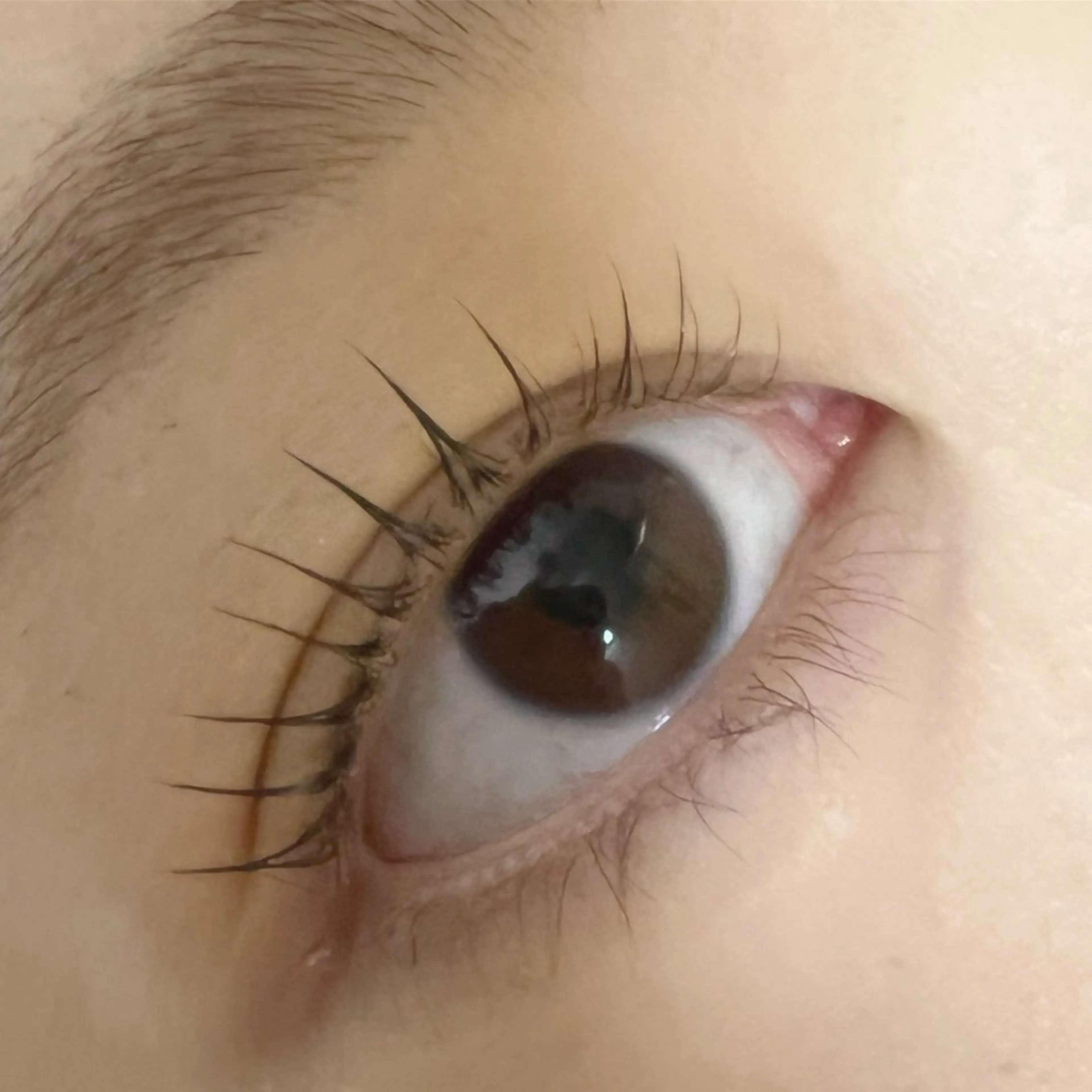マツエク・マツパ eyelashsalon CREA所属・移転しました CREAのマツエク・マツパデザイン