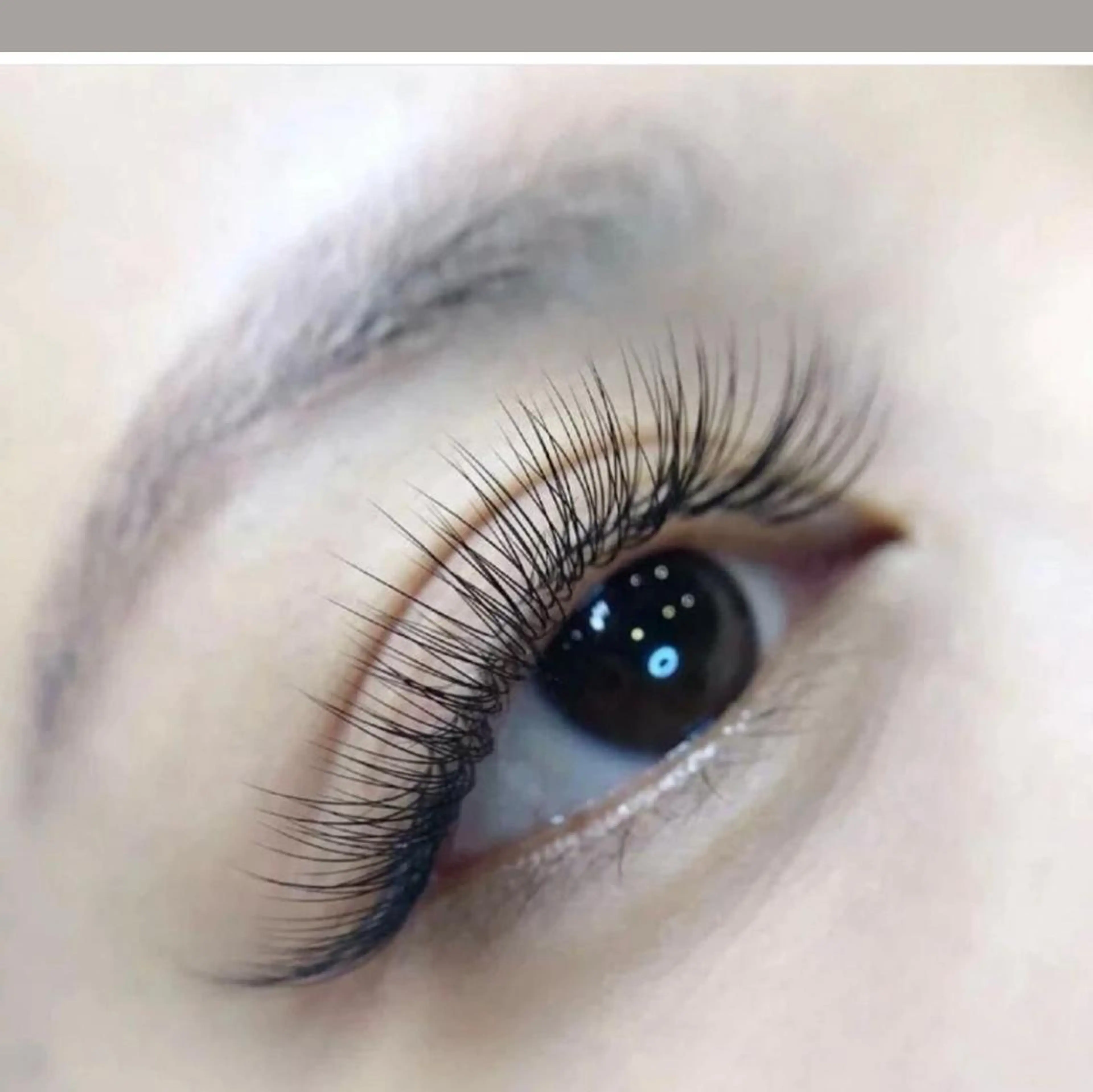 フラットラッシュ120本の写真