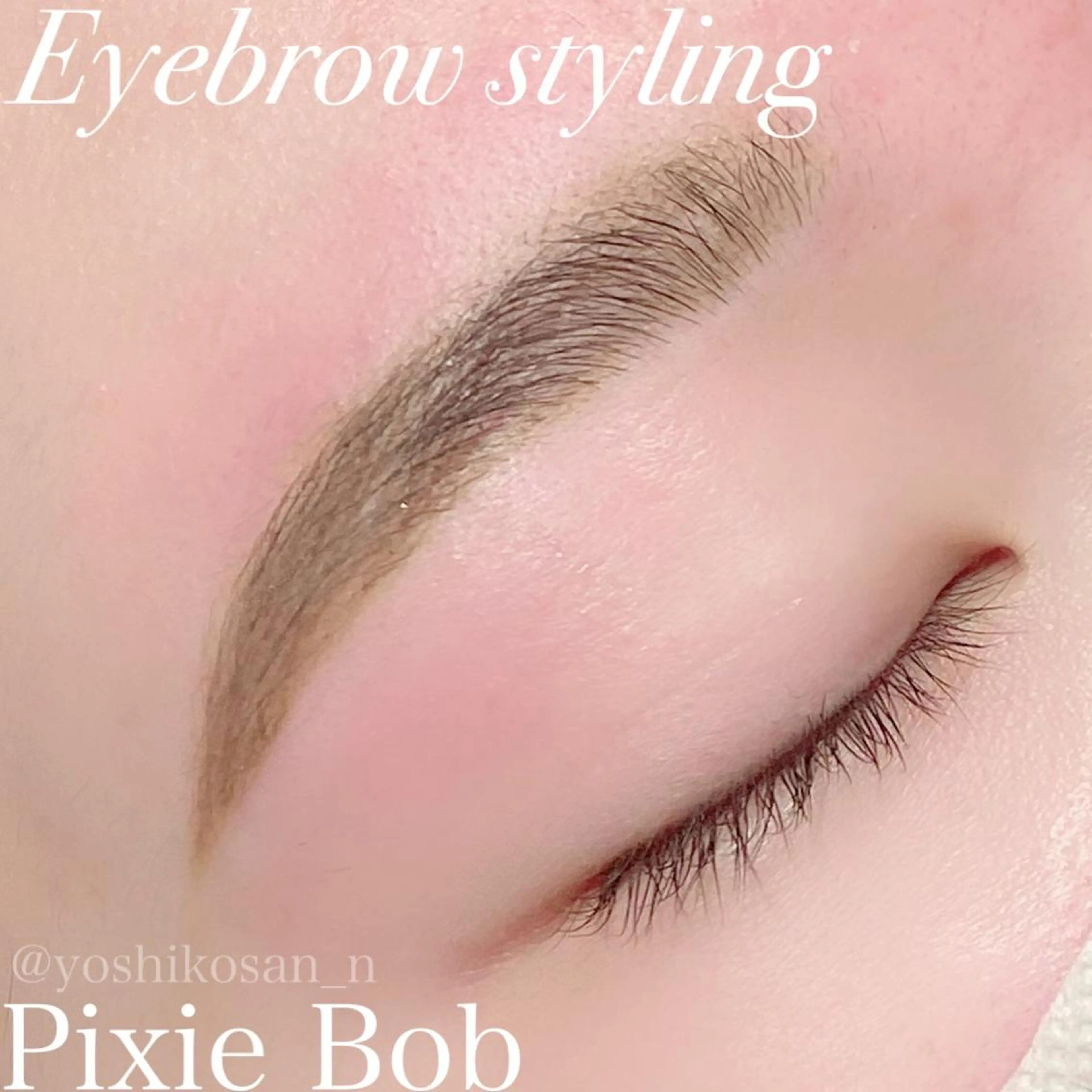 アイブロウ ワックス脱毛 眉カット その他(アイブロウ) Pixie Bob 🐈‍⬛　位田のヘアスタイル