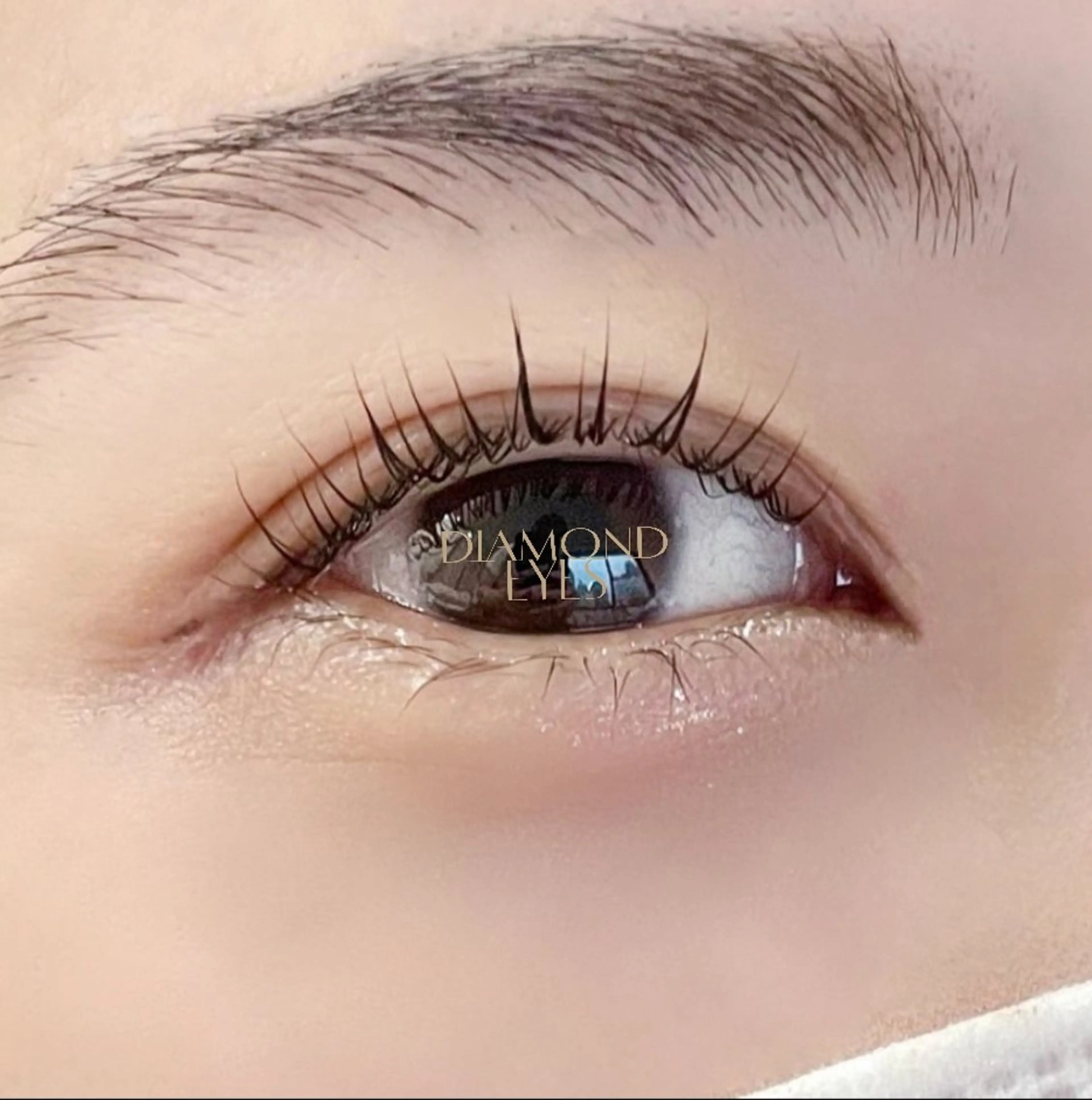 《選べるデザイン✨》ラッシュリフト/パリジェンヌ＆お得なチケット付きの写真