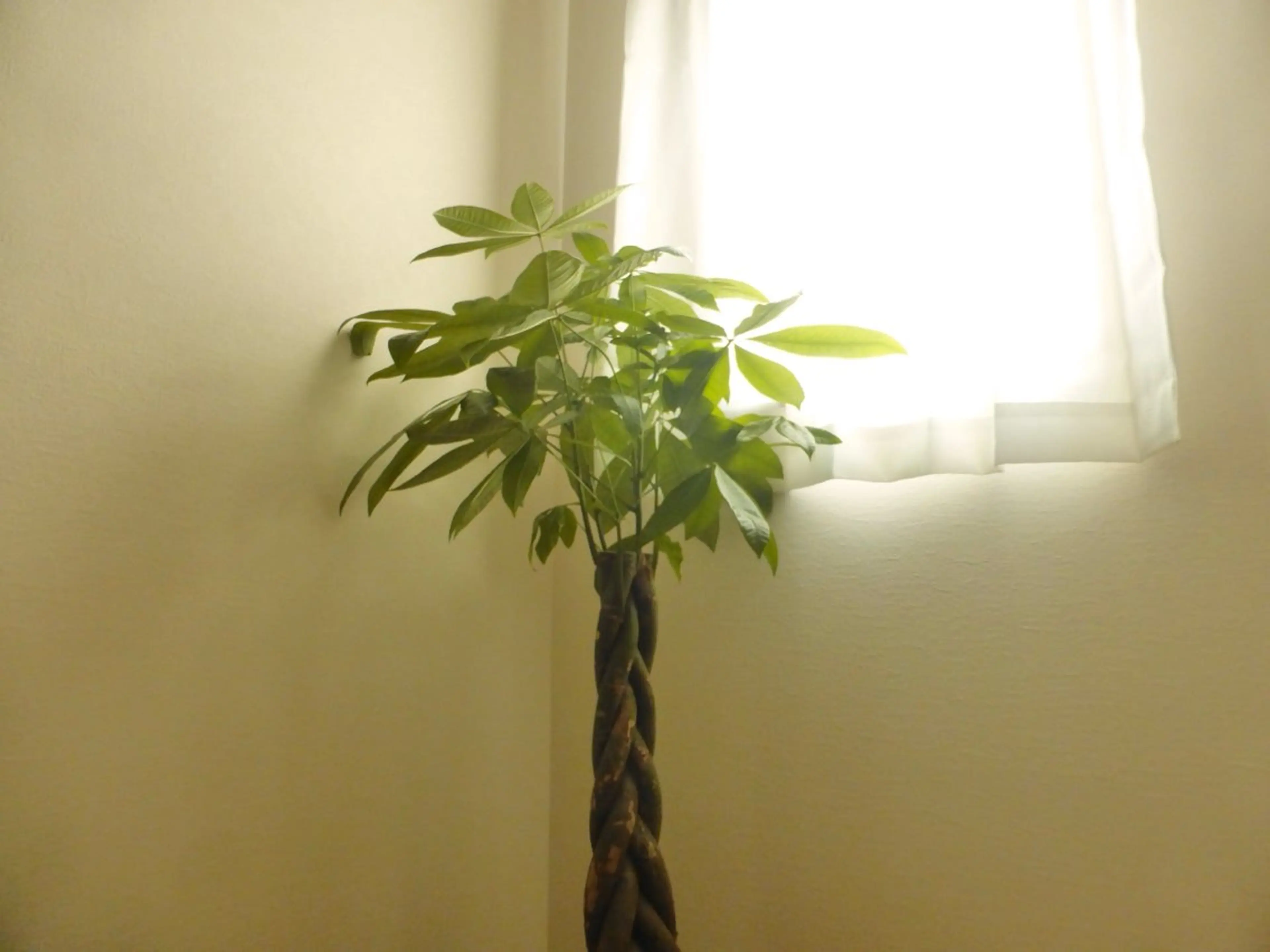 肩こり首こり専門🪽 呼吸が深くなるサロンのエステ・リラクイメージ