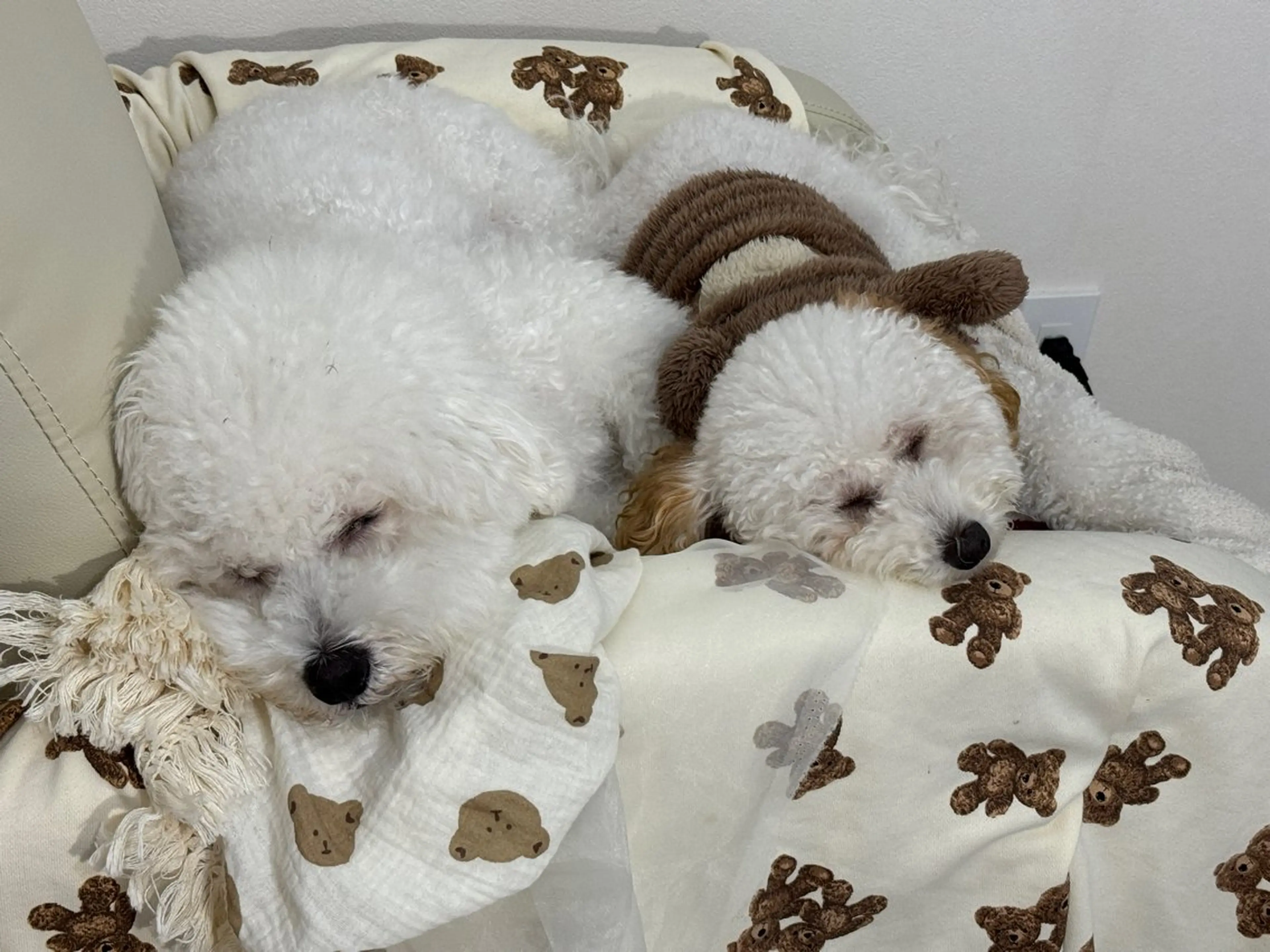 マツエク・マツパ ERINA ♥のネイルデザイン