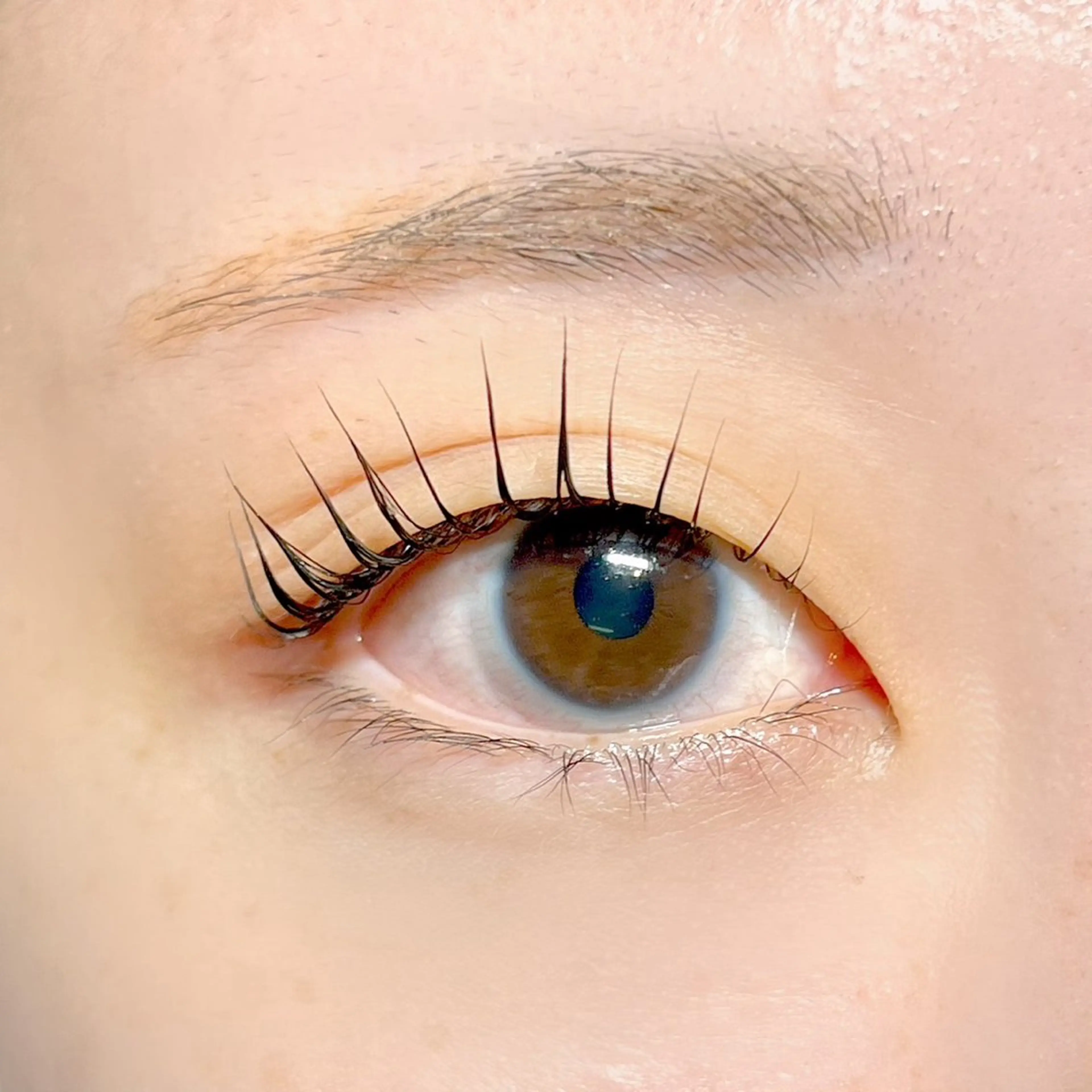 マツエク・マツパ 一重×まつ毛パーマ こんどう みうのマツエク・マツパデザイン