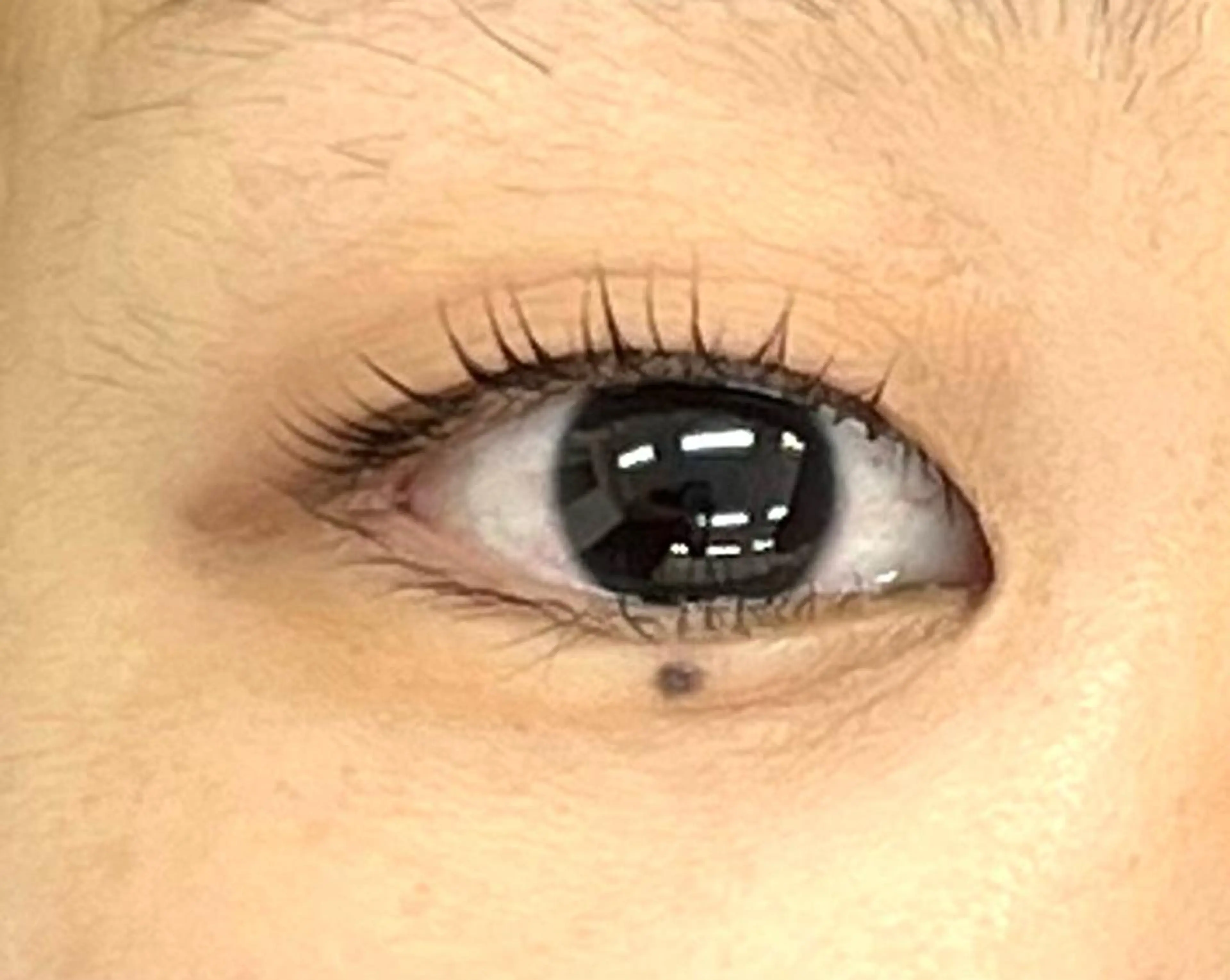 マツエク・マツパ 一重×まつ毛パーマ マツパ Sifa eyelashのマツエク・マツパデザイン