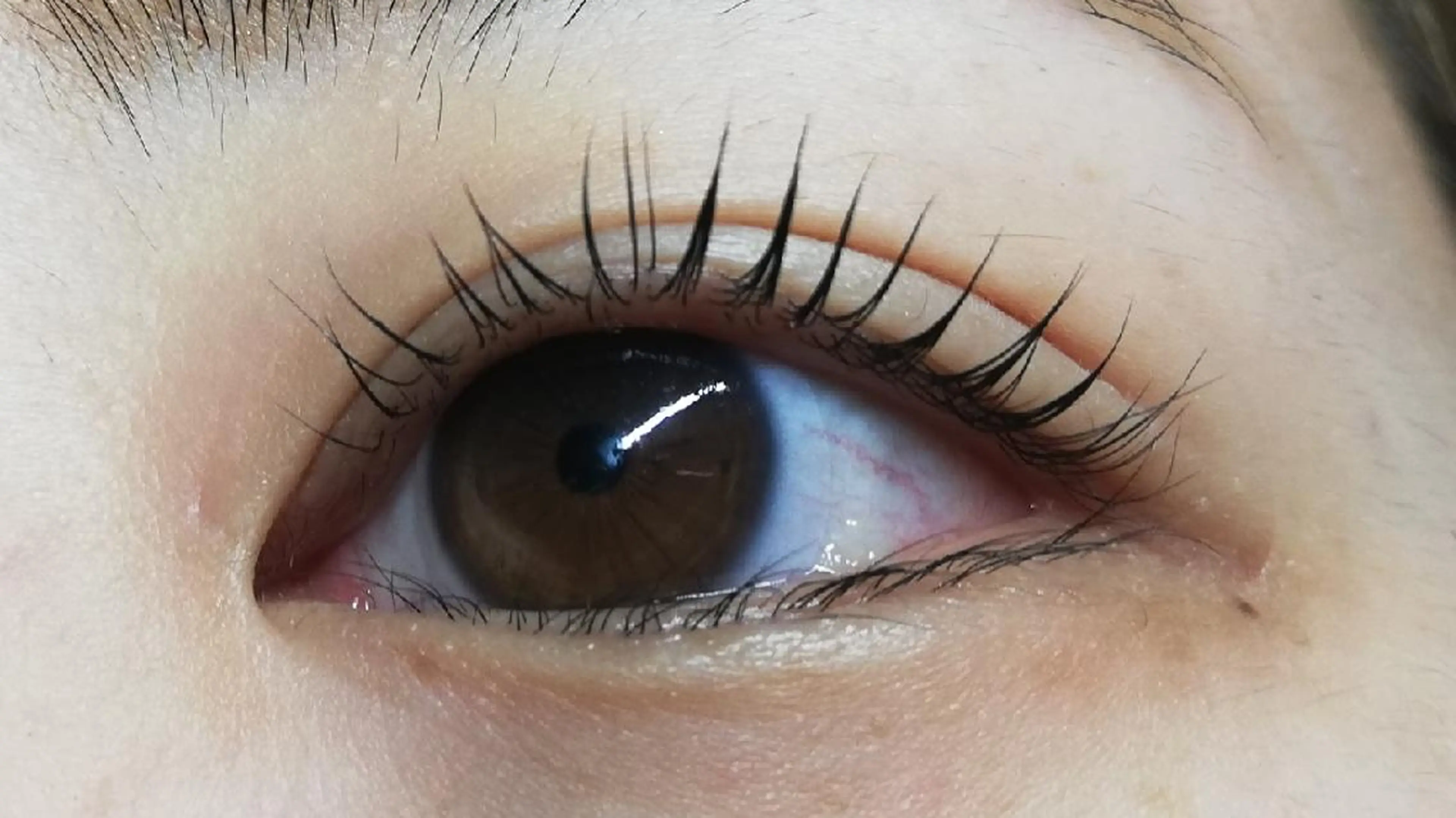 マツエク・マツパ angelux 所属・完全個室サロン🌹 angelux🌹のマツエク・マツパデザイン