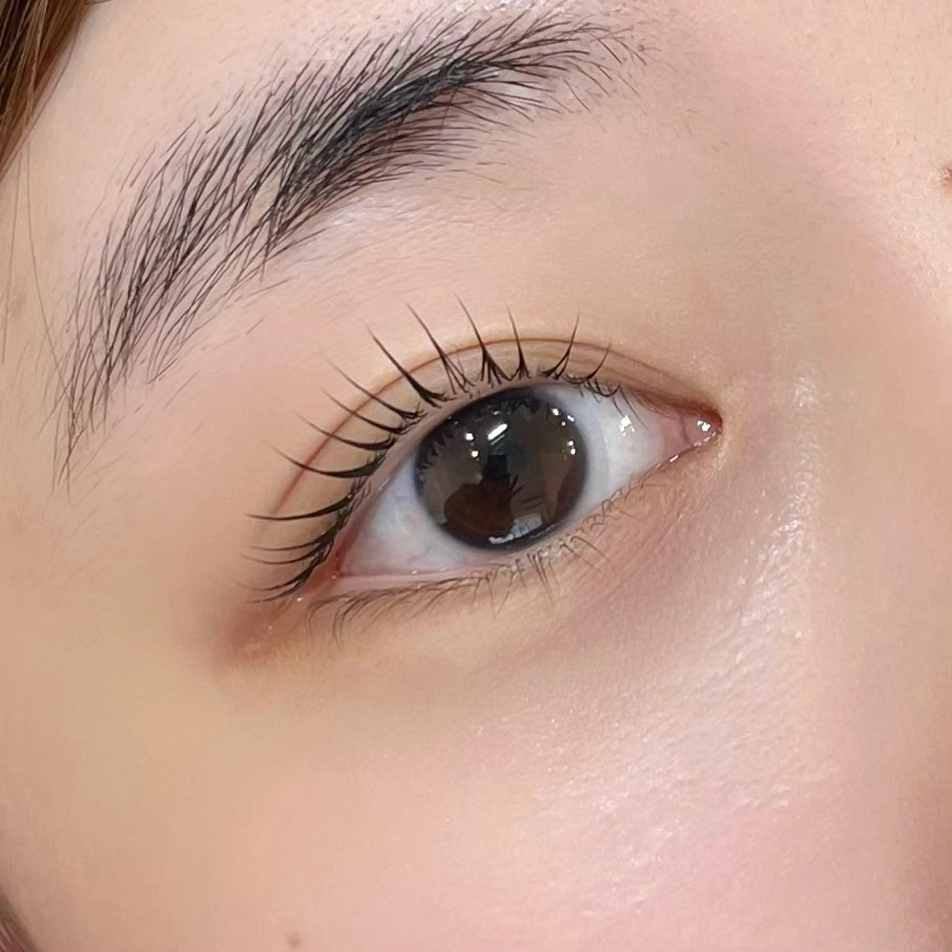 〈24歳以下の女性限定〉Eyelash（上まつげパーマ）の写真