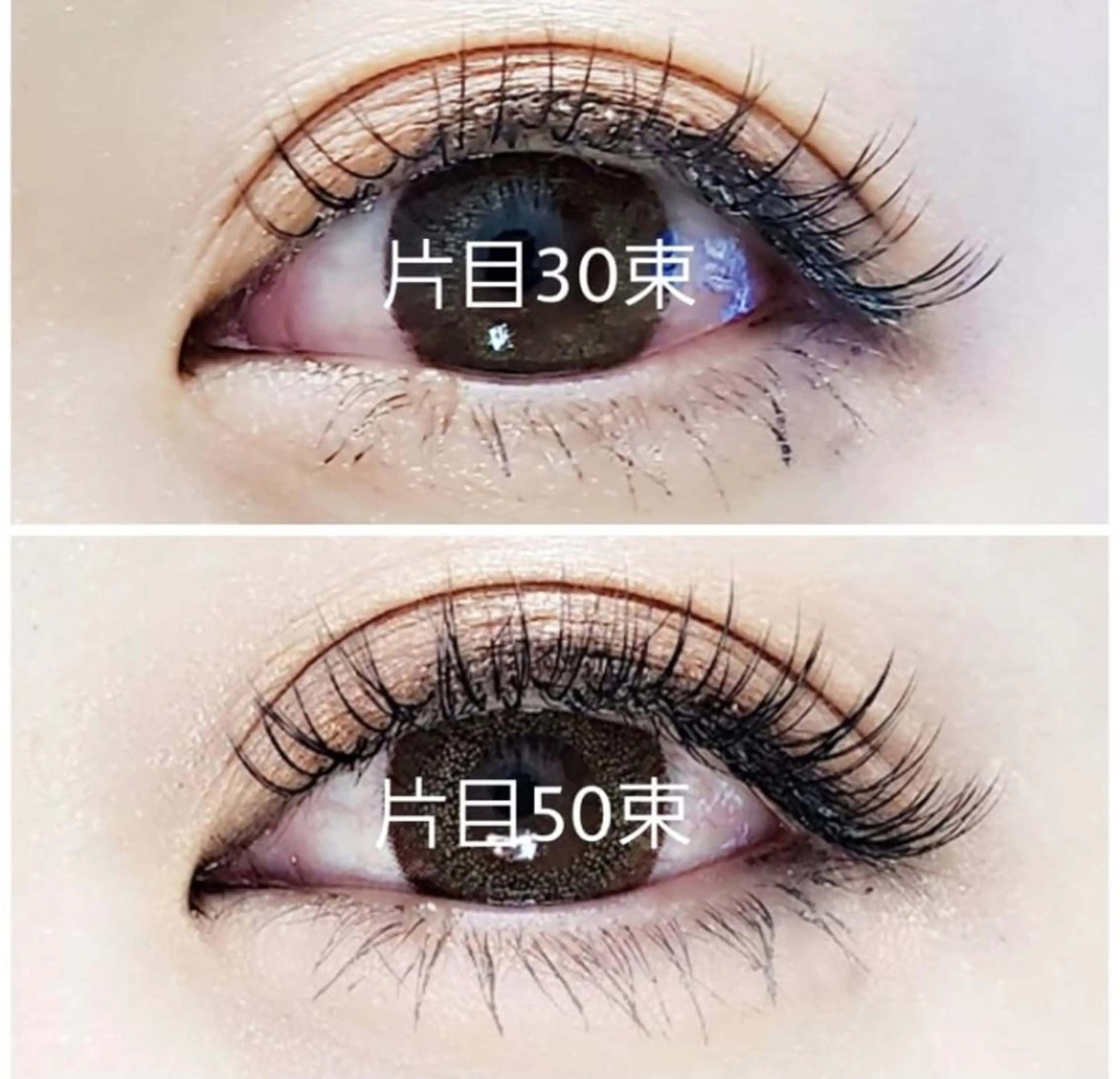 マツエク・マツパ 神戸MAX KELLY所属・w Chisatoのマツエク・マツパデザイン