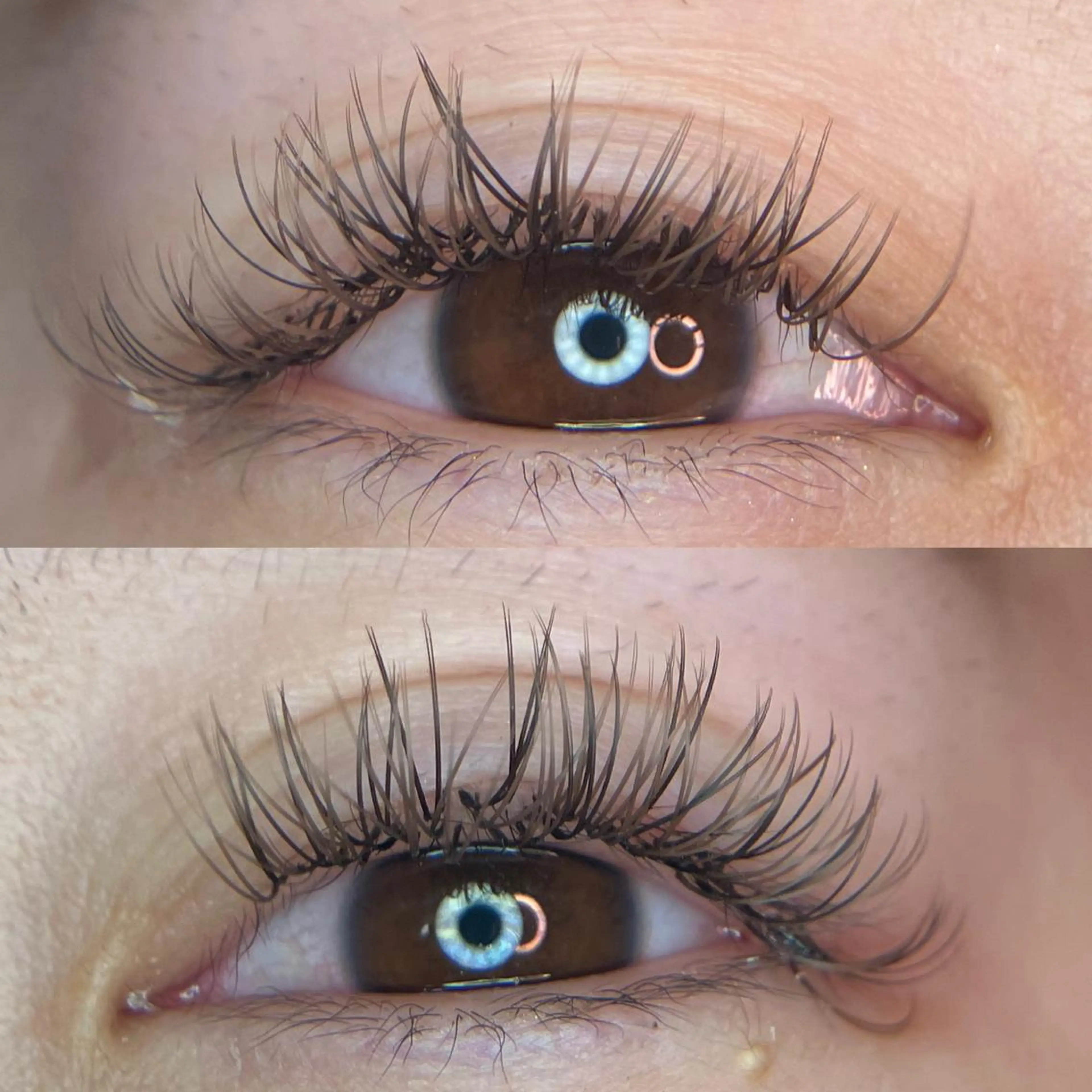 マツエク・マツパ 付け放題 カラーマツエク フラットラッシュ マツエク linda lashesのマツエク・マツパデザイン