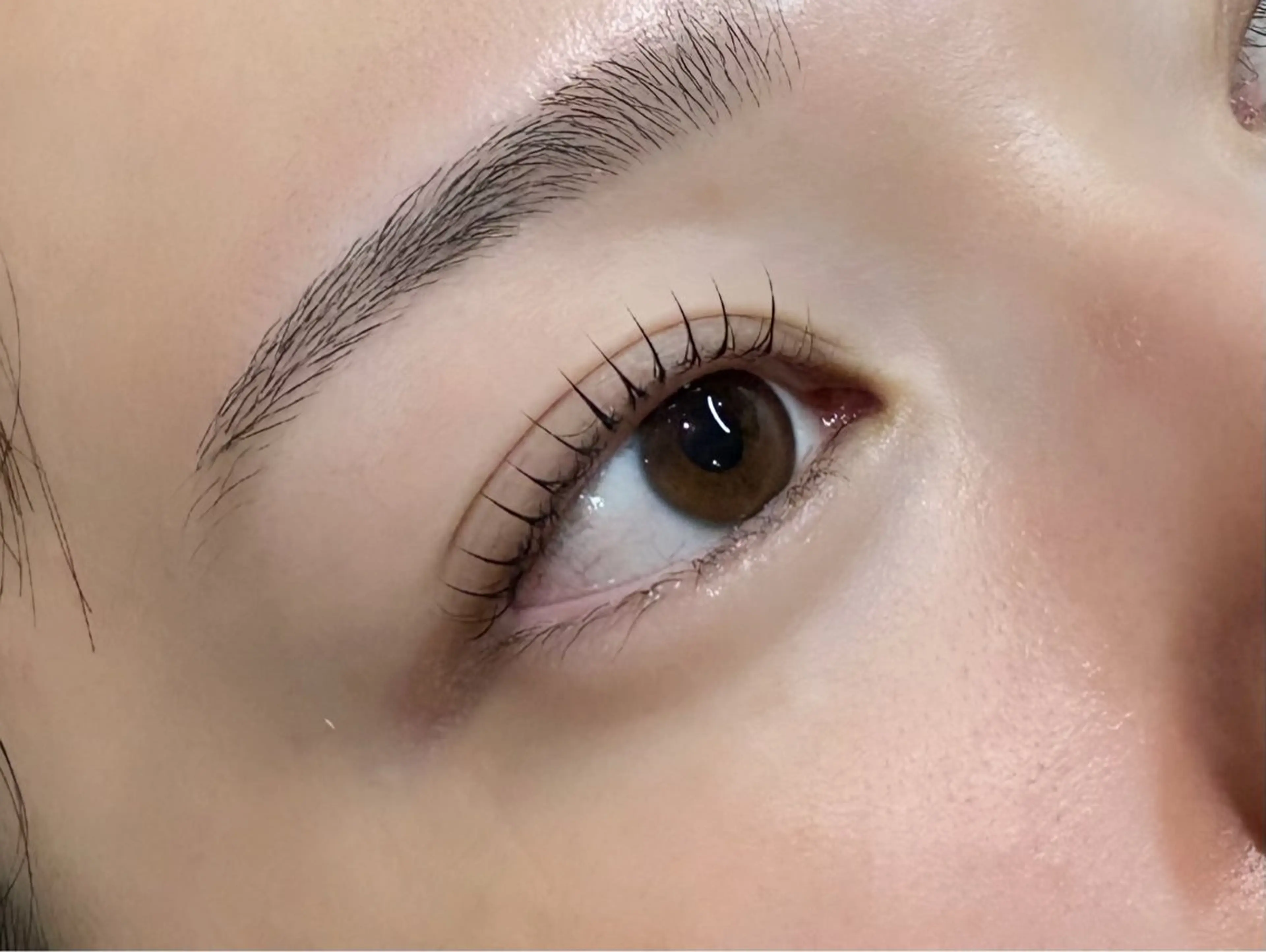 マツエク・マツパ マツパ LaBlanche ゆいの眉毛・アイブロウイメージ