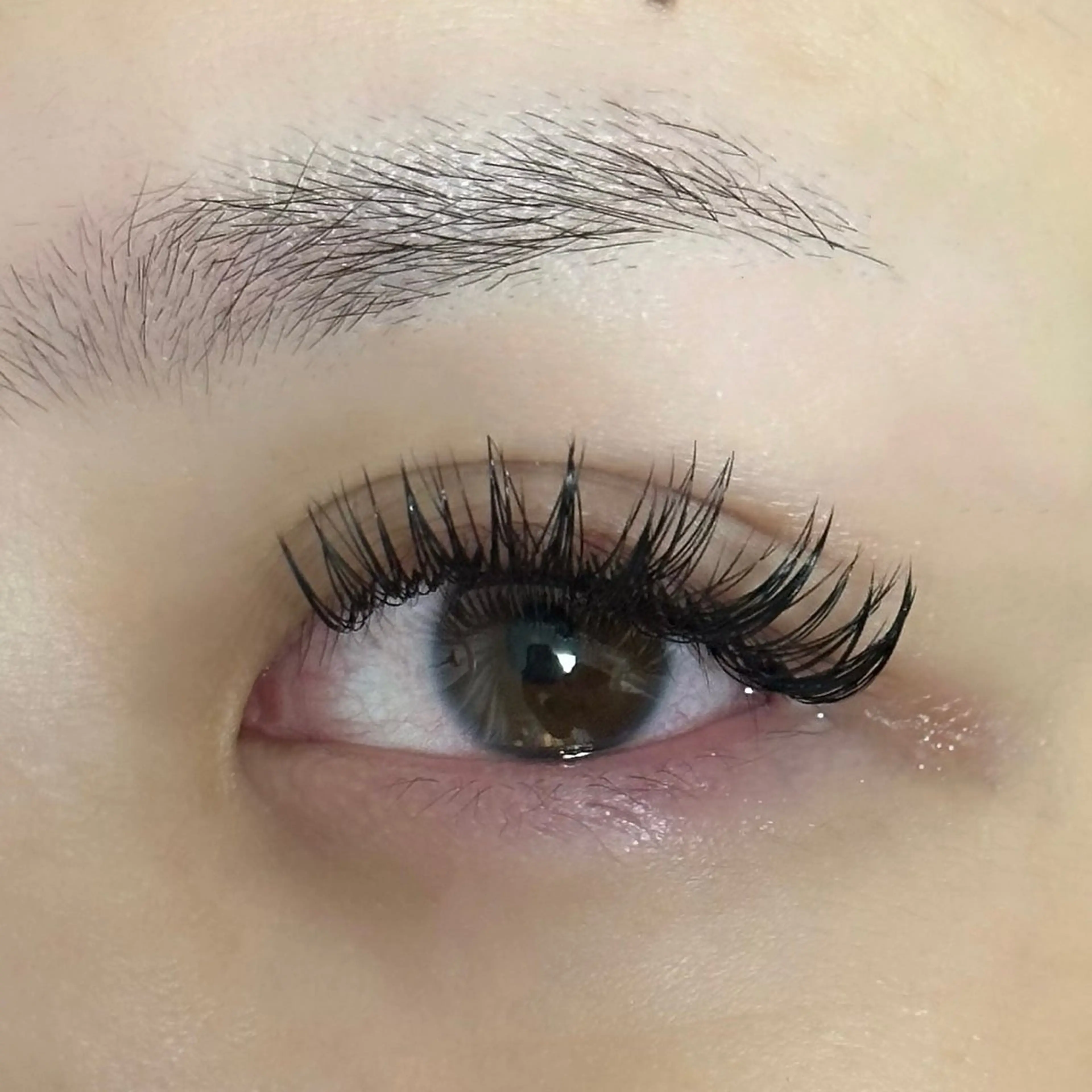 マツエク・マツパ マツエク OKIKA所属・【OKIKA】 らん🦖🌈🧡のマツエク・マツパデザイン