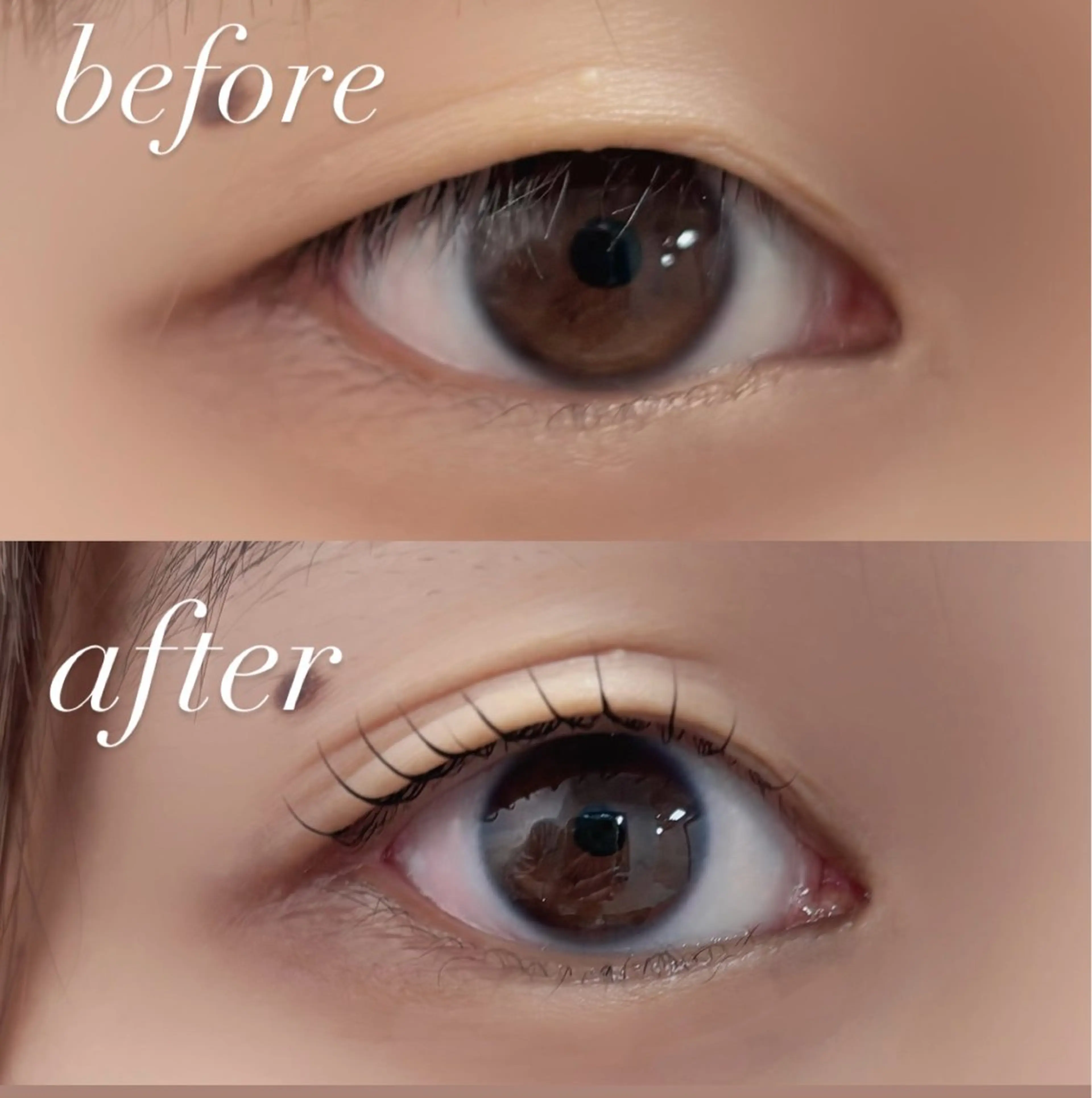 マツエク・マツパ 🏵️tico@ Risa🏵️のヘアスタイル