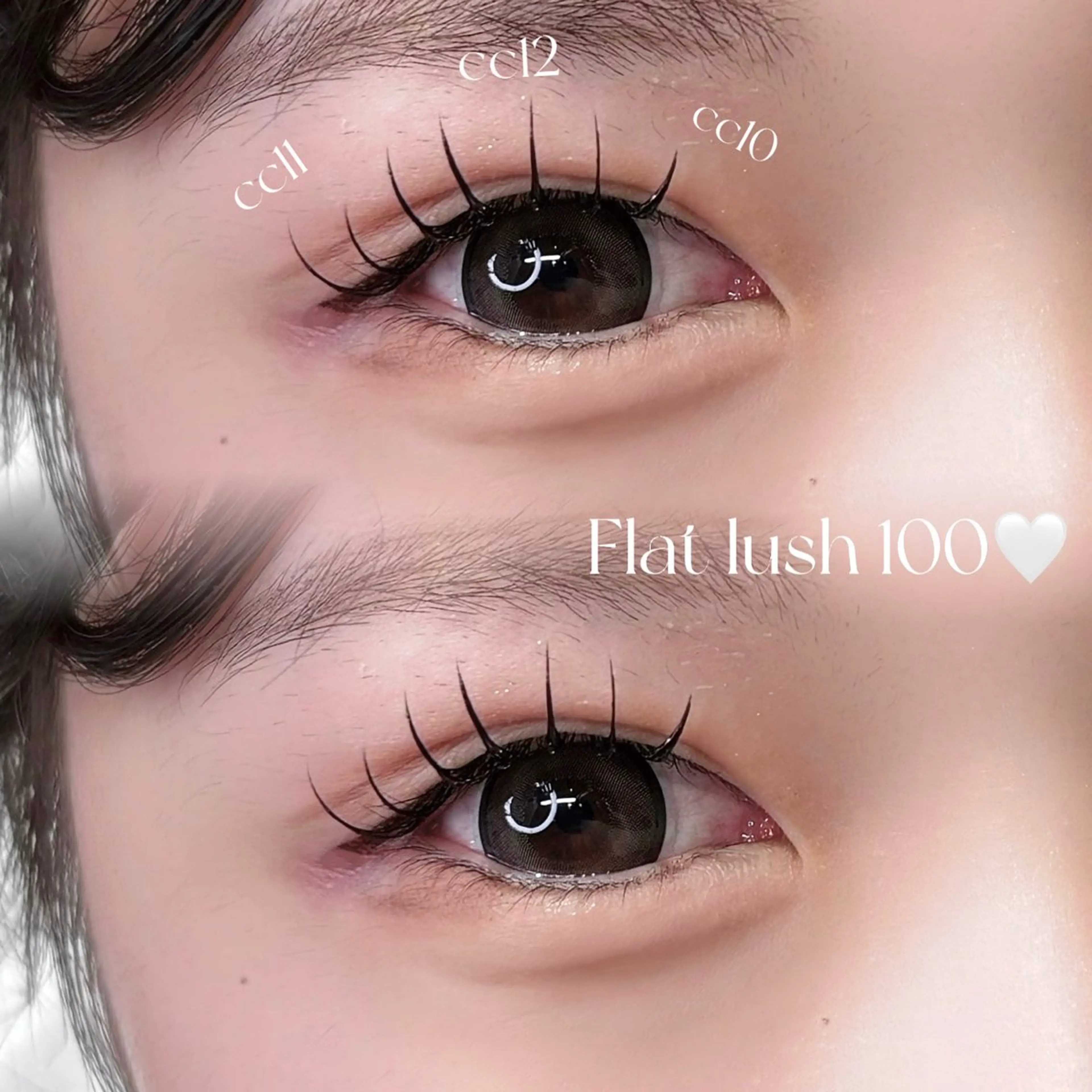 【平日限定】まつエクモデル♡フラットラッシュ100本🎀束感コーティング仕上げ✨の写真