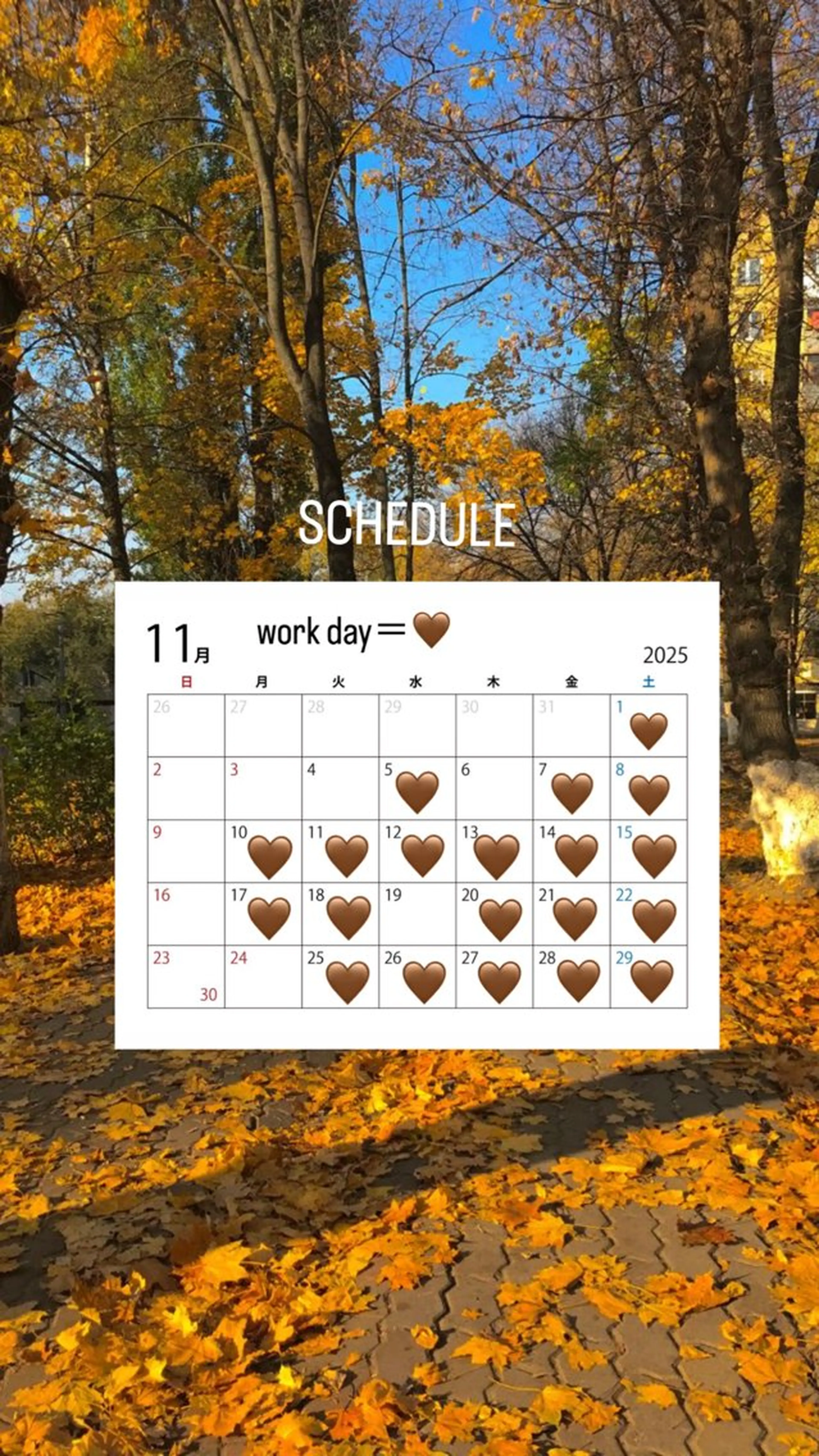 Elbio所属・⌇ Elbio のぞみ⌇のマツエク・マツパデザイン