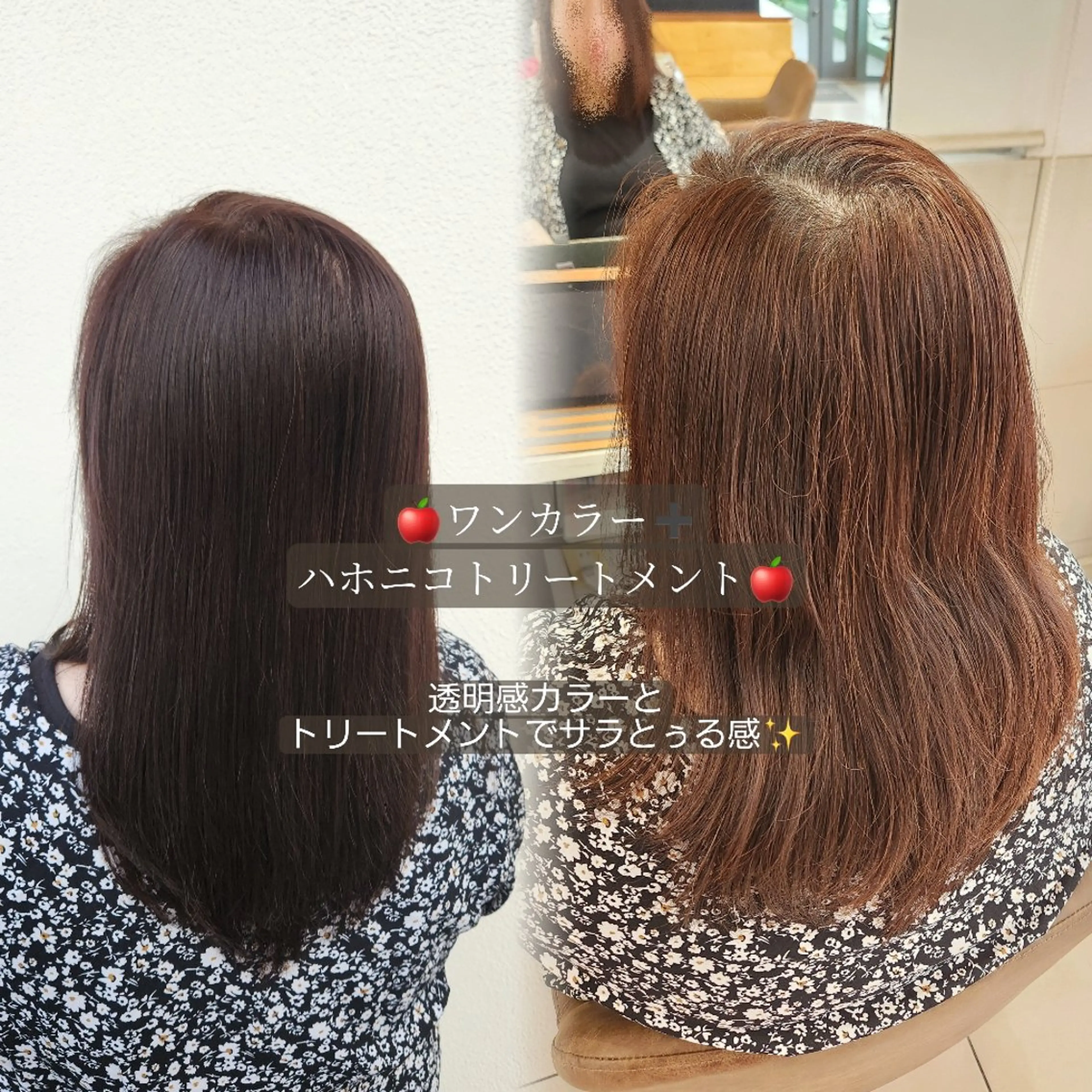 カラー 🐶カラーモデル🐶 くまだ あかねのヘアスタイル