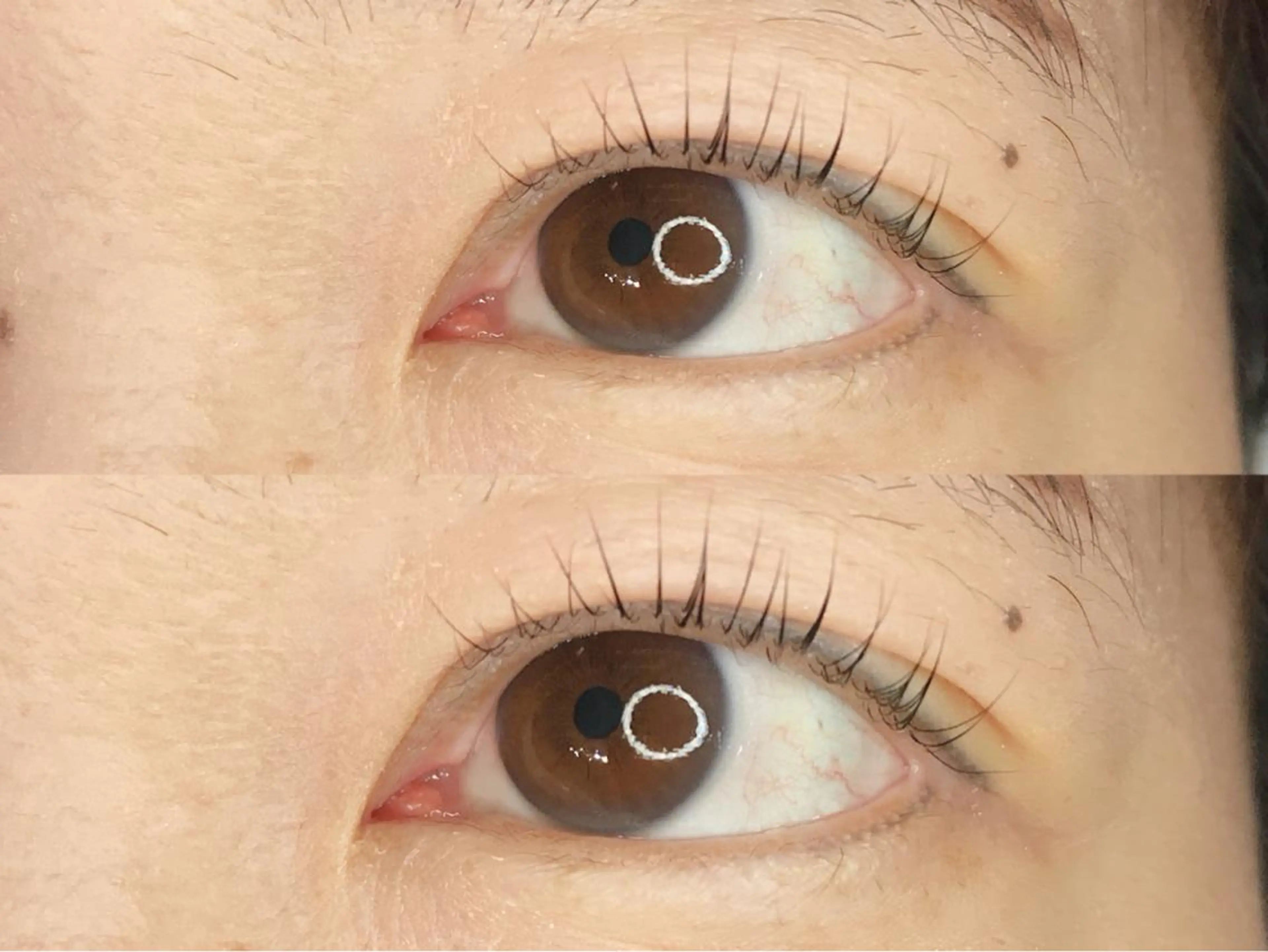 マツエク・マツパ マツパ 《eyelash ｉｉｔｅ》森のマツエク・マツパデザイン