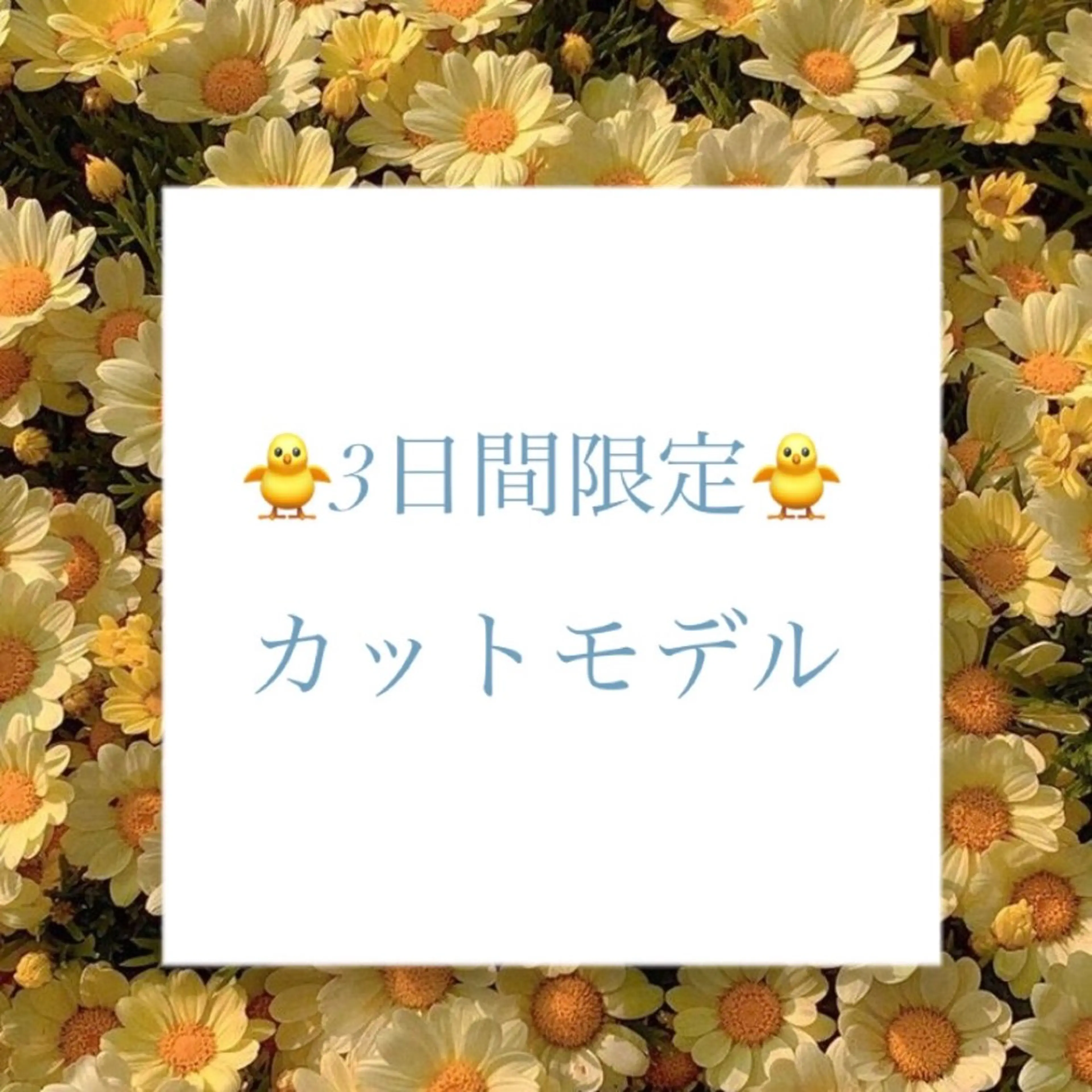 Forest. kanako🕊️のヘアスタイル