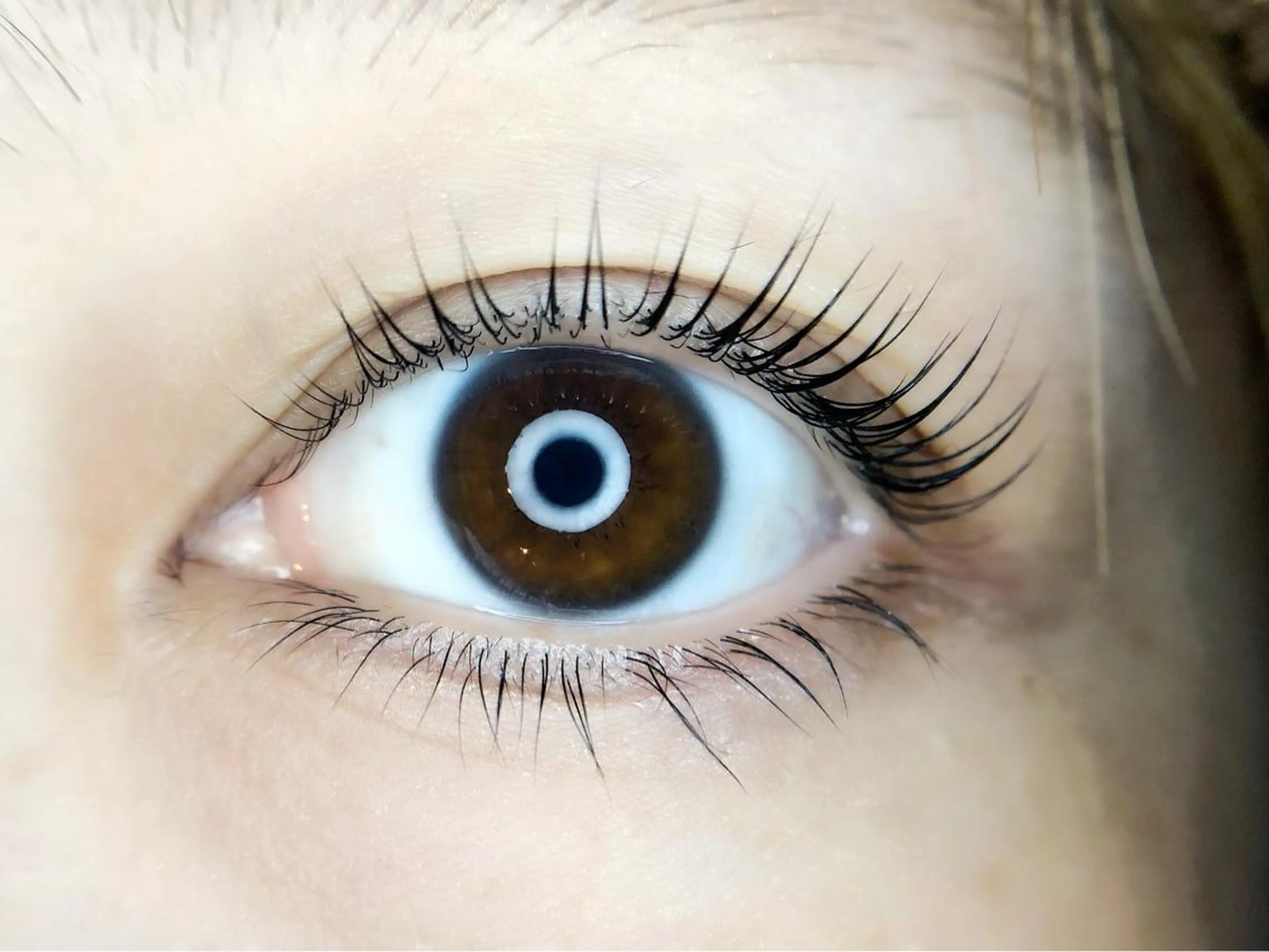 マツエク・マツパ Irima静岡駅前店 松浦のマツエク・マツパデザイン