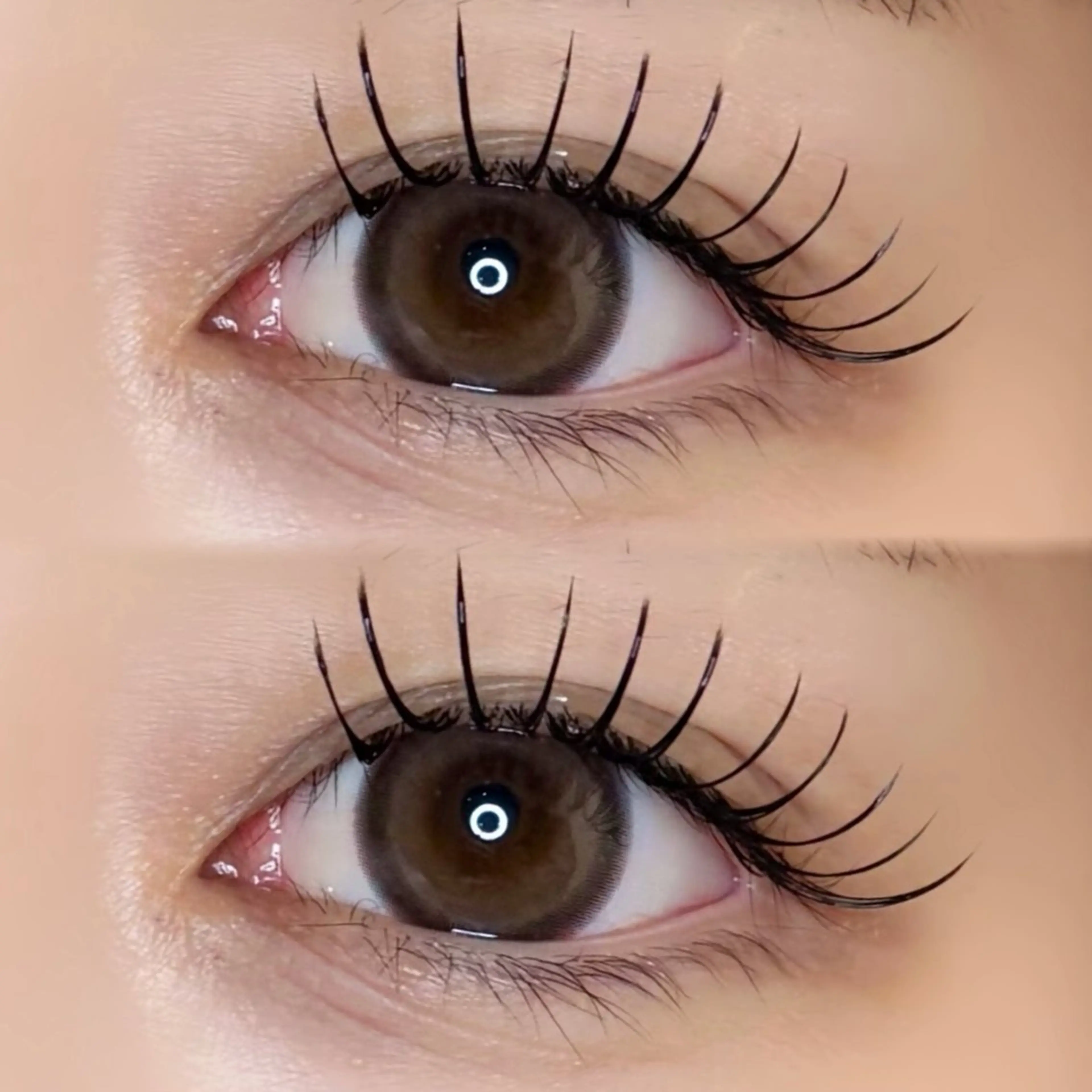 【超話題❤️🔥Lカール】フラットラッシュ100本・初回オフ無料(瞼重めの方やしっかり上向きなエクステを付けたい方へ)の写真