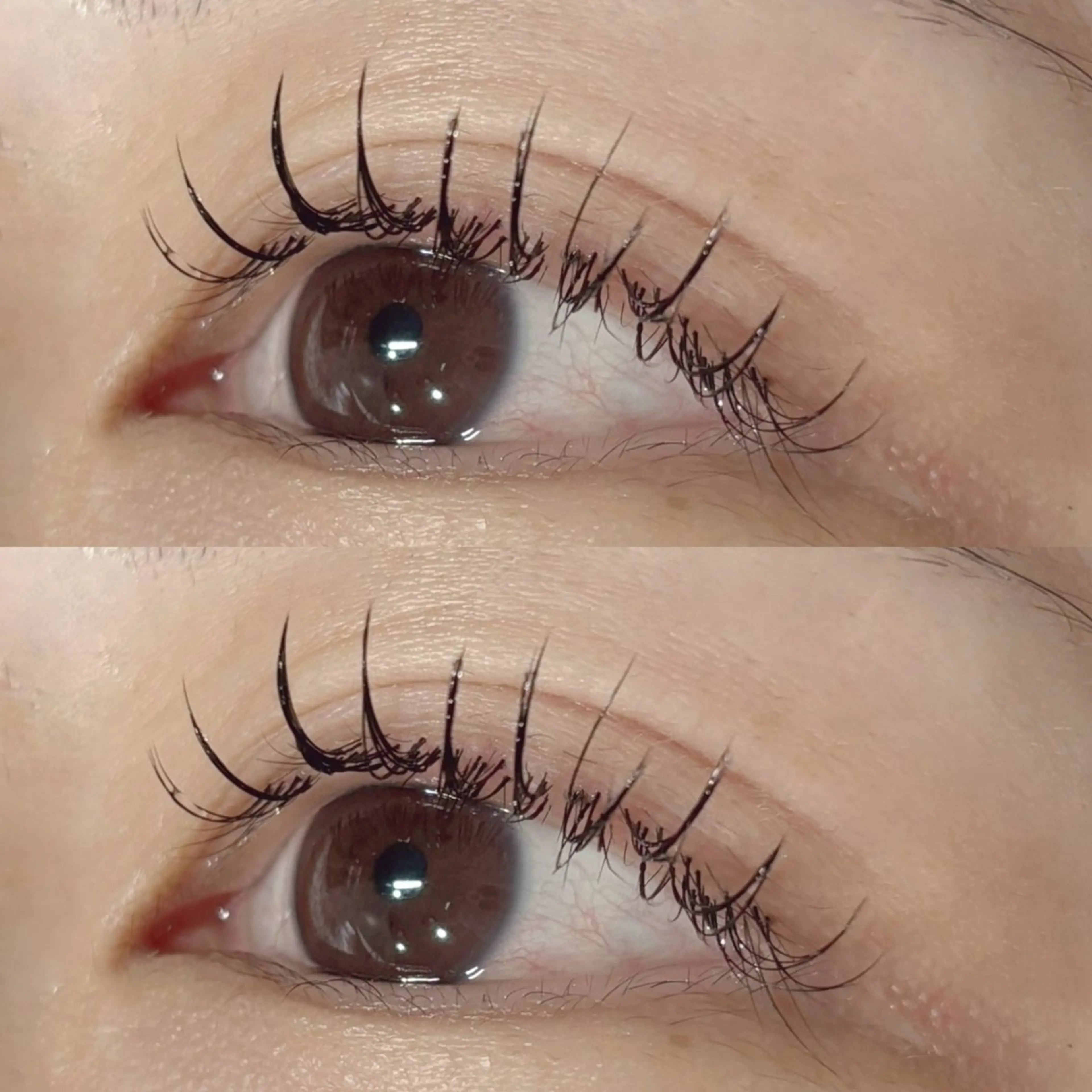 マツエク フラット (120本まで) J/C/CCカールなどの写真