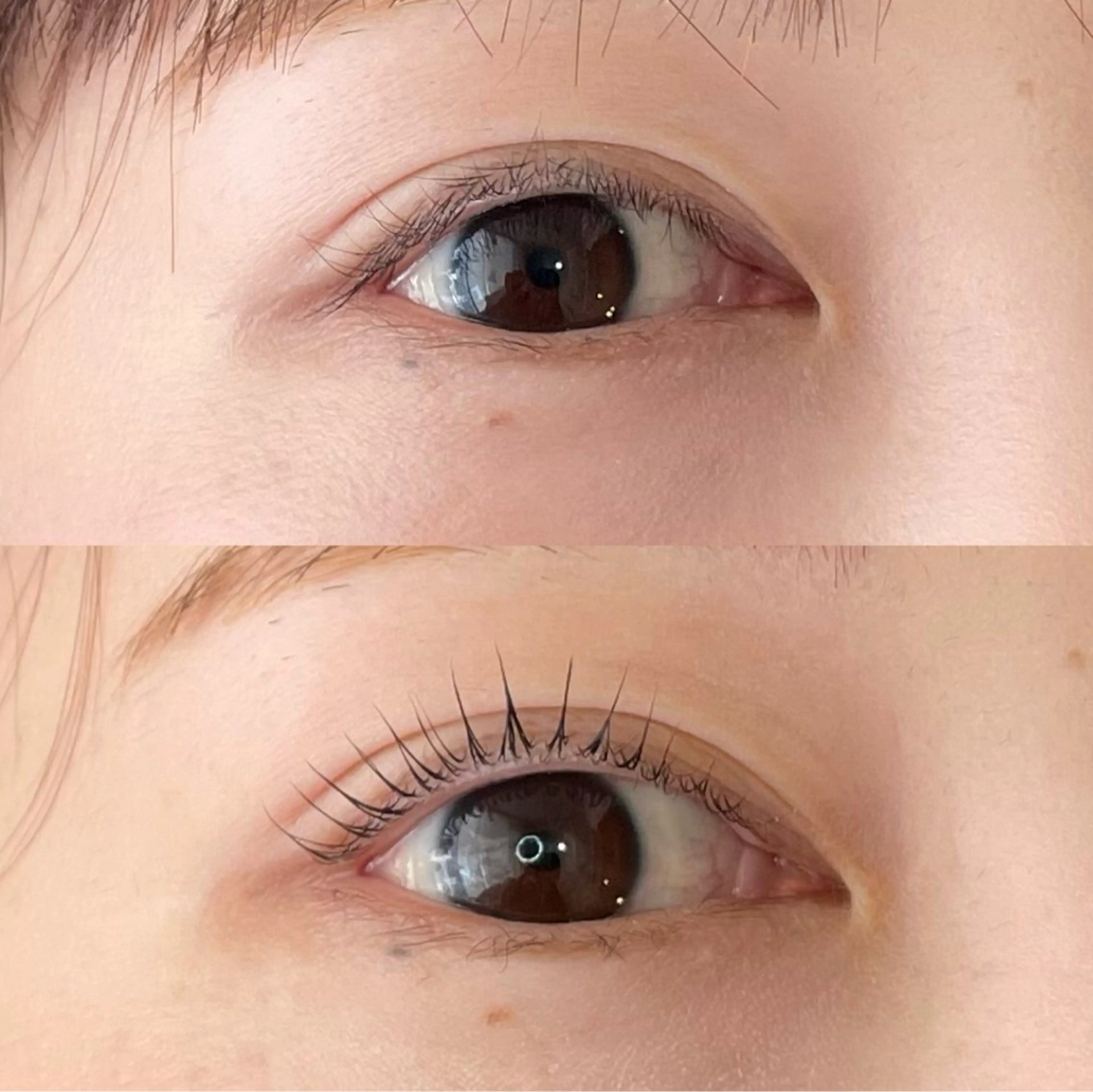 マツエク・マツパ マツパ pupe eyelash所属・博多 ／まつ毛パーマ 🌻花楓のマツエク・マツパデザイン