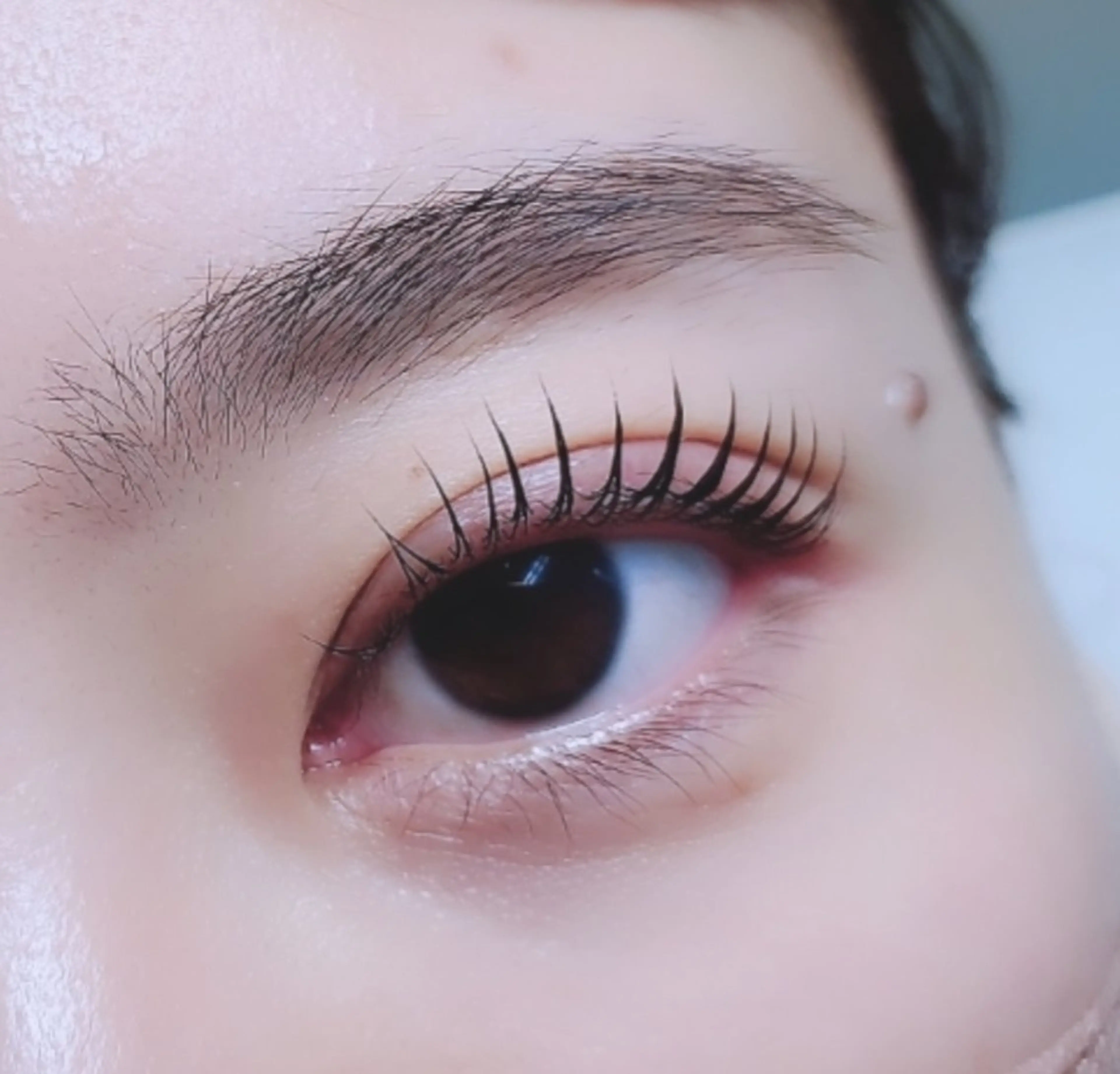 マツエク・マツパ マツパ eyelashsalon   rocolush 所属・★Hoshino★ 新宿西口 ·͜·🌟のマツエク・マツパデザイン
