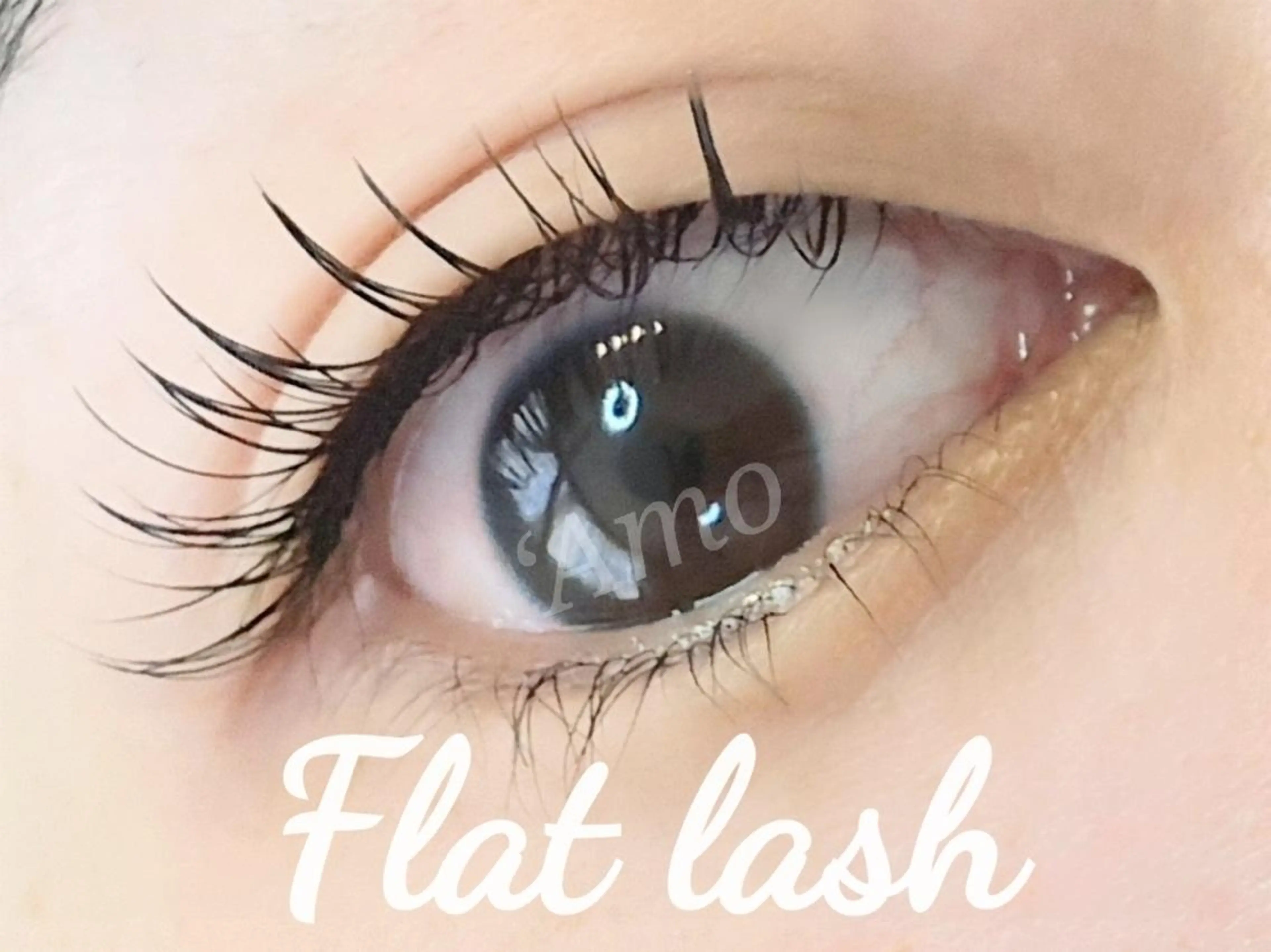 マツエク・マツパ 束感まつ毛 Cカール キュート フラットラッシュ ‘Amo アモのマツエク・マツパデザイン