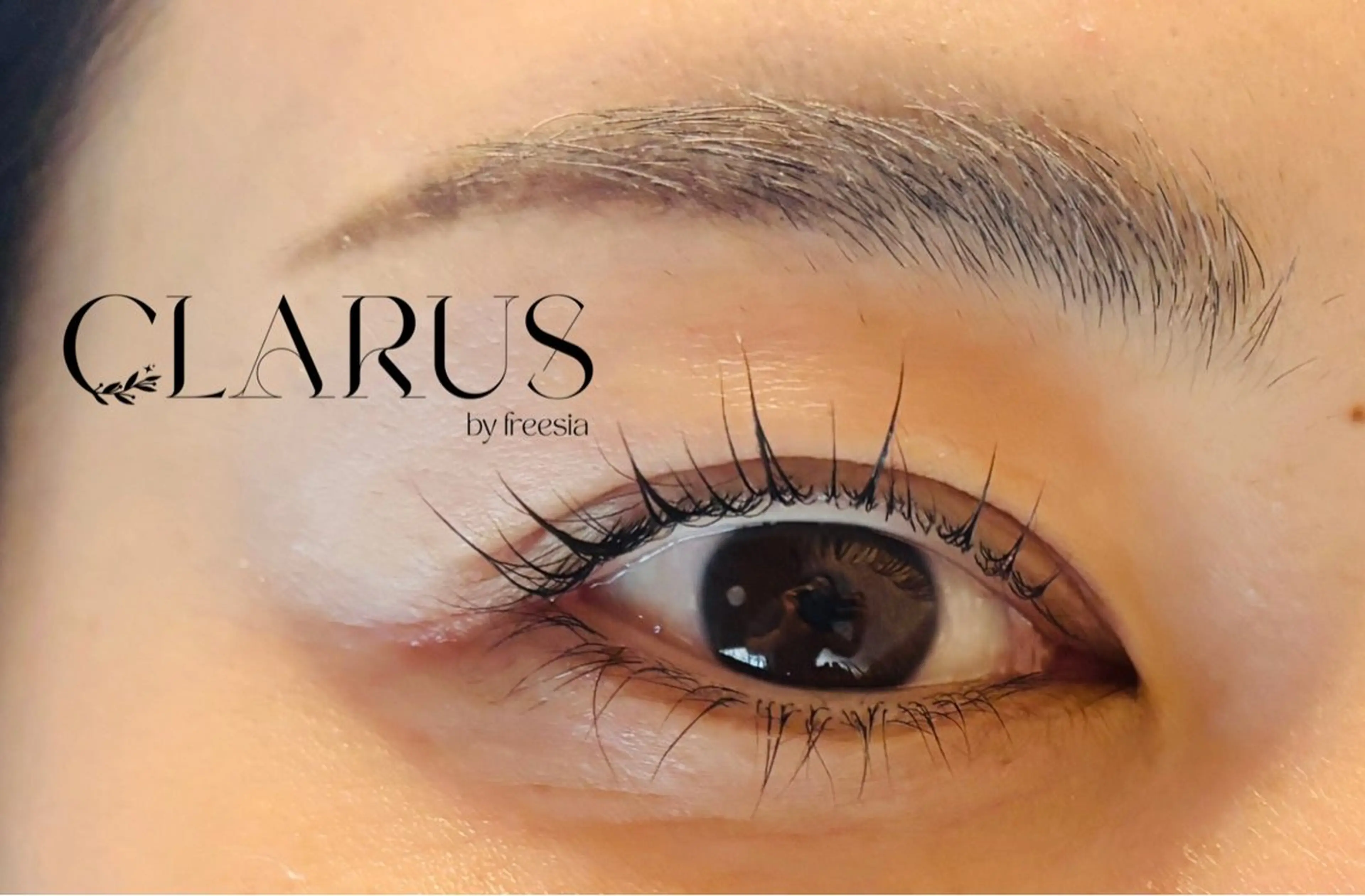 ラッシュリフト（上）の写真