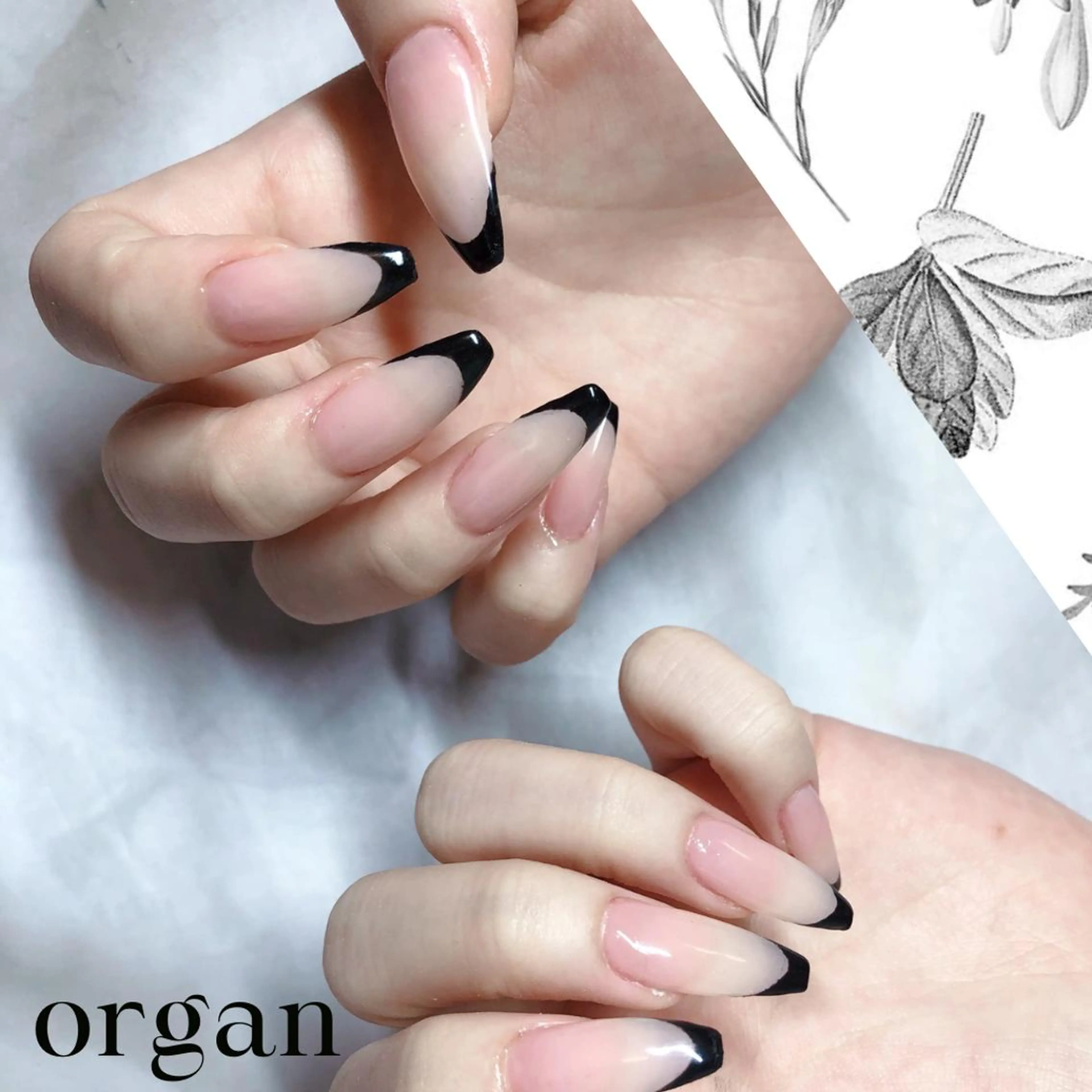 ネイル フレンチネイル 【ORGAN】 nailのネイルデザイン