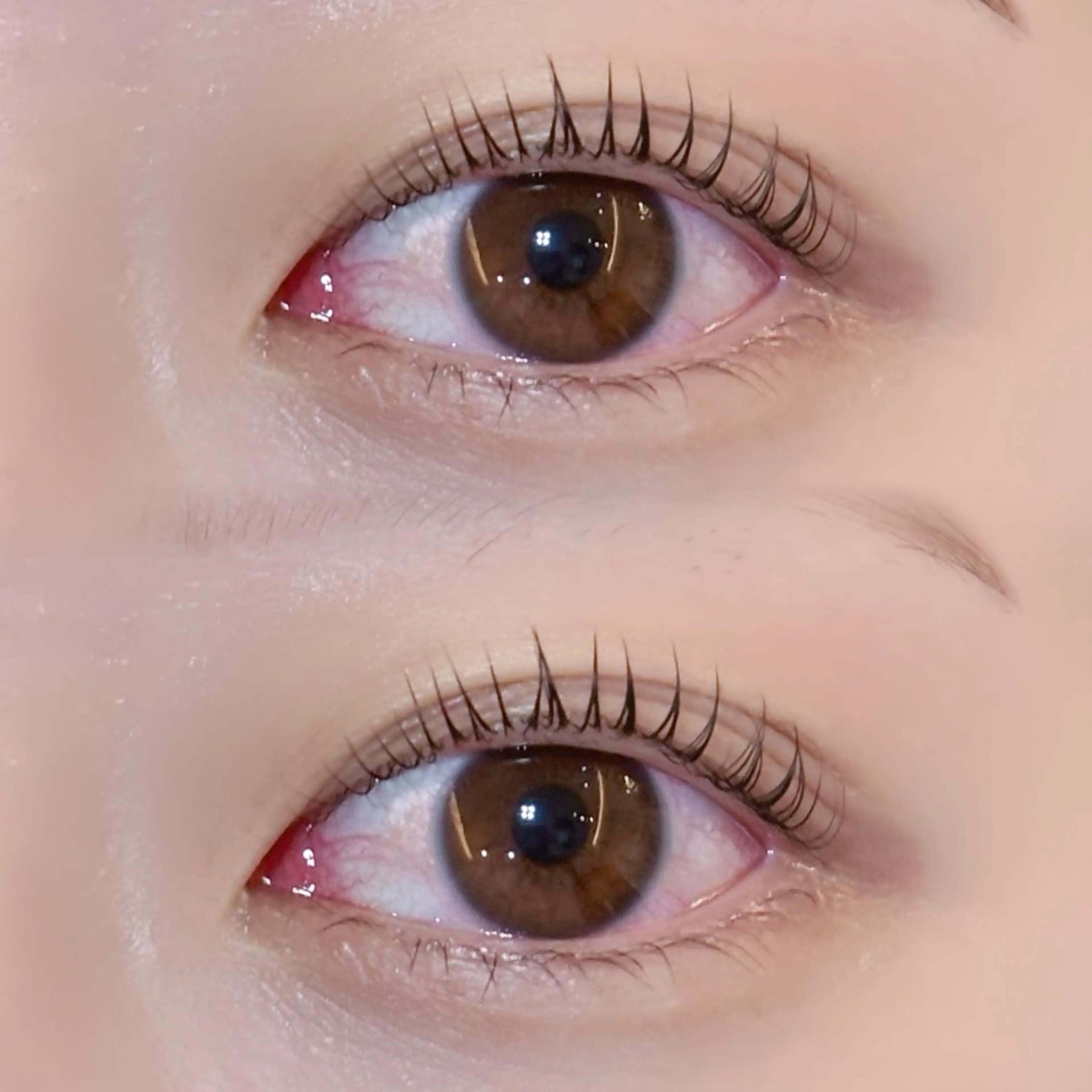 🎀【ぱっちり立ち上げ👀】パリジェンヌラッシュリフトの写真