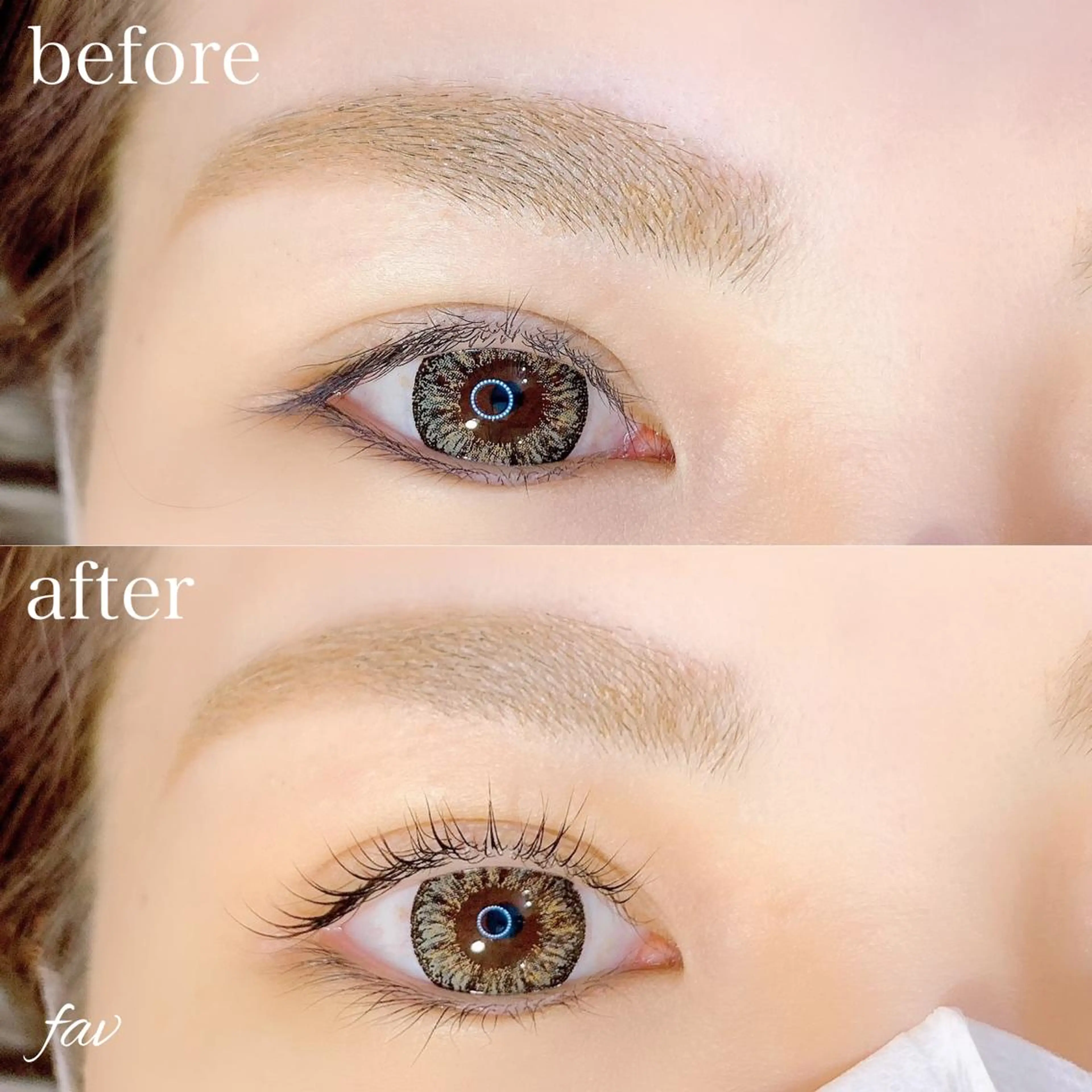 マツエク・マツパ まつげパーマ EYELASH FAVのマツエク・マツパデザイン