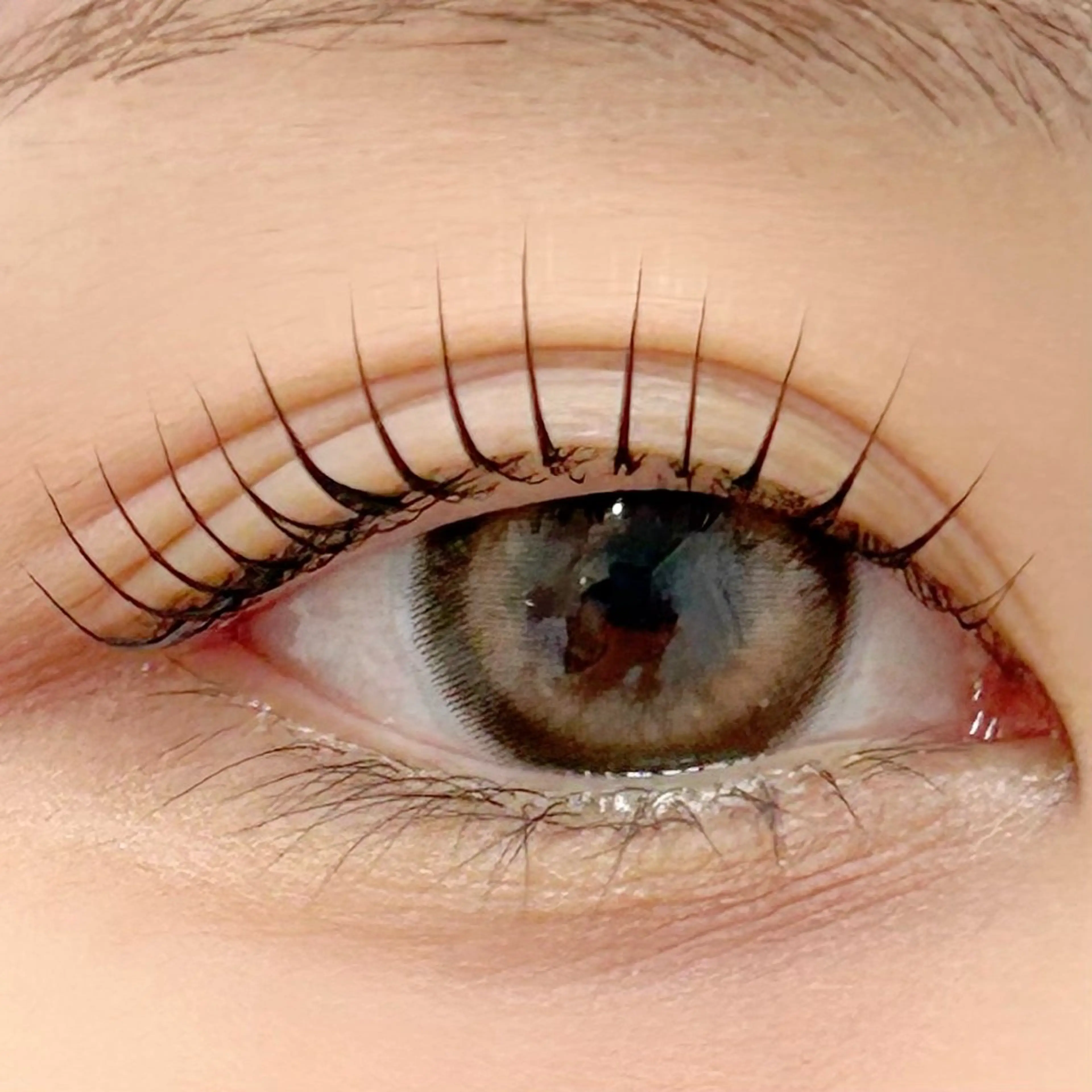 マツエク・マツパ パリジェンヌラッシュリフト 一重×まつ毛パーマ マツパ BellFlower Aki(眉・まつげ)のマツエク・マツパデザイン