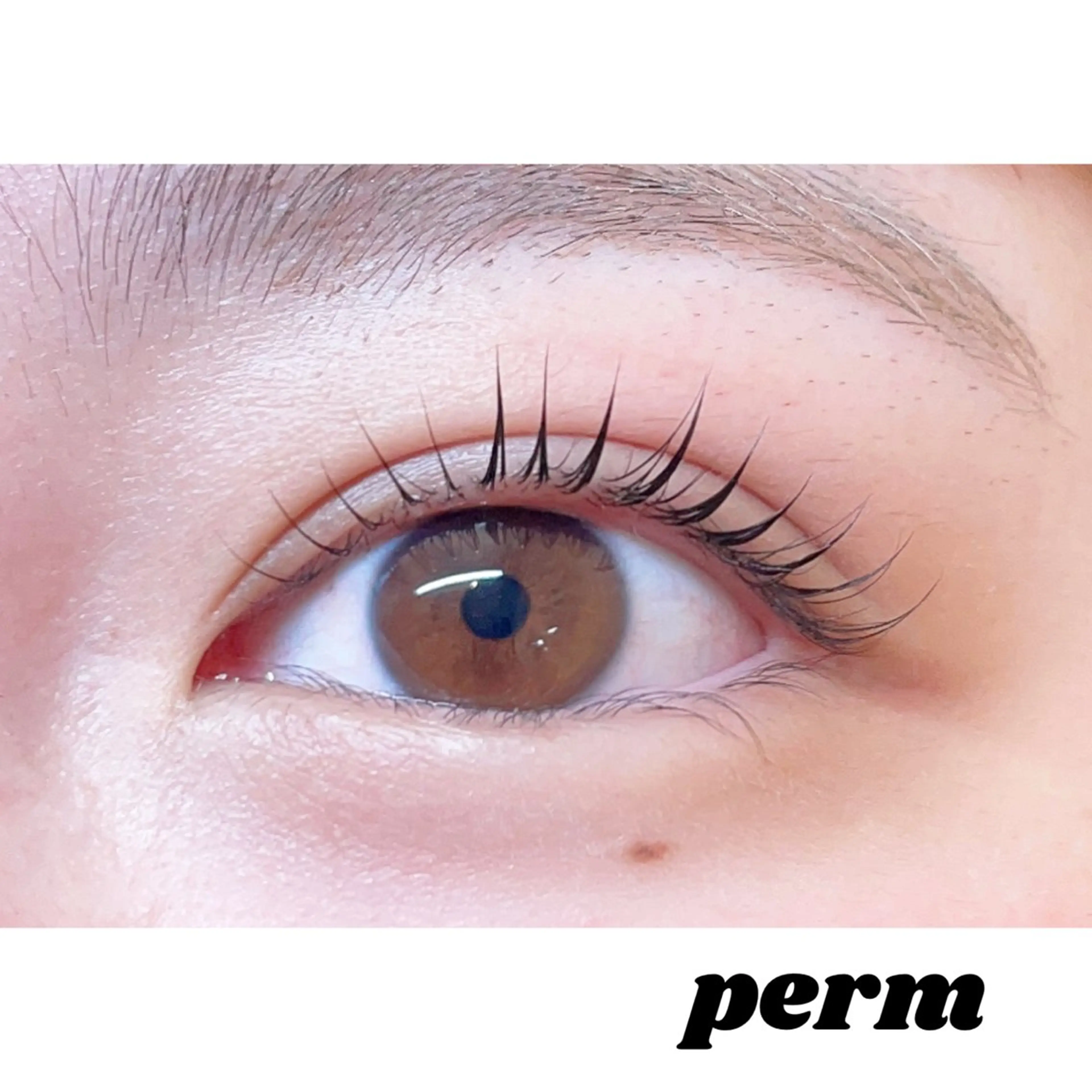 マツエク・マツパ まつげ＆眉サロン a la mode 樟葉店所属・a la mode 末澤 ꫂ ၴႅၴのマツエク・マツパデザイン