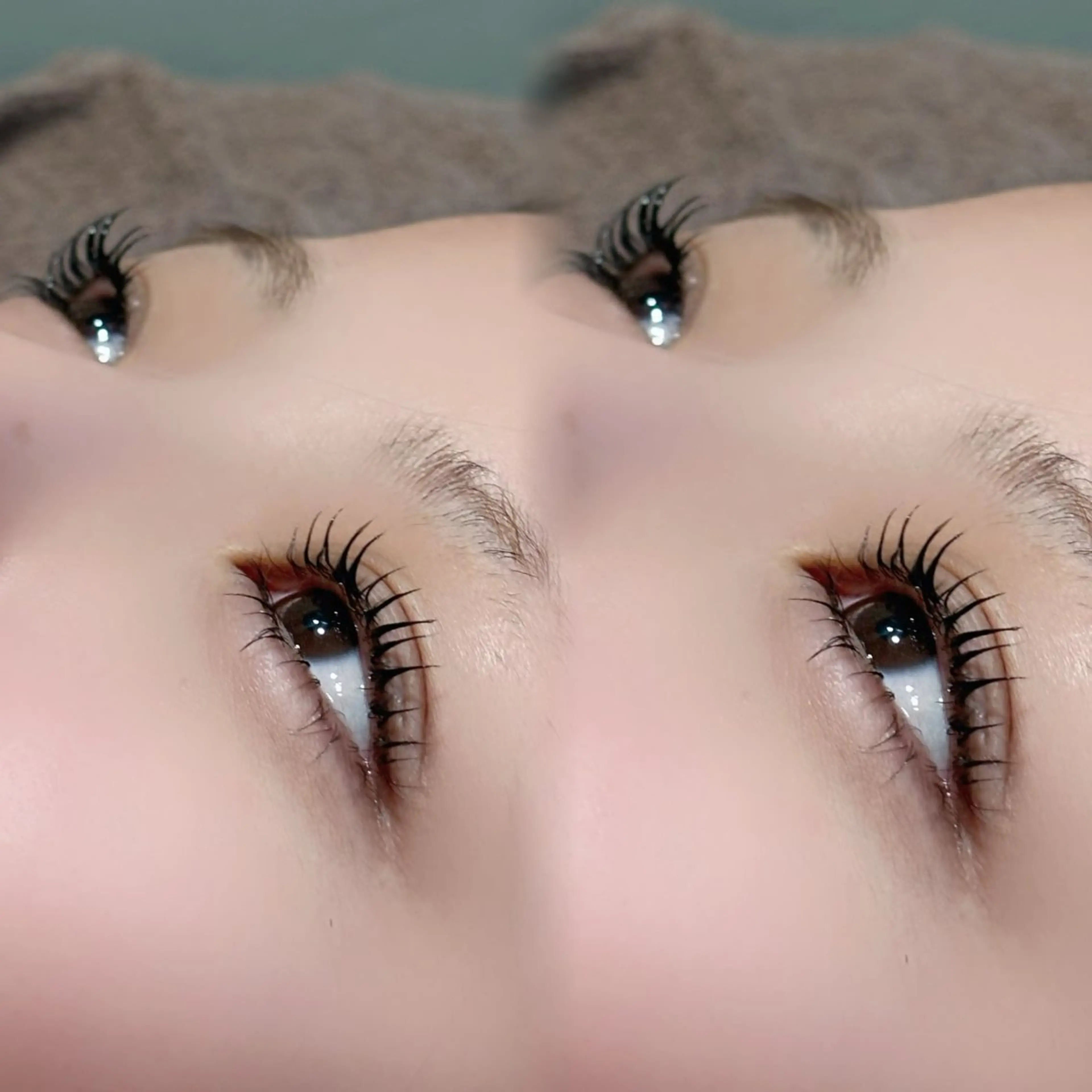 【韓国風🇰🇷🍯🤍】まつ毛パーマ💫 美容液コーティング付き🫧の写真