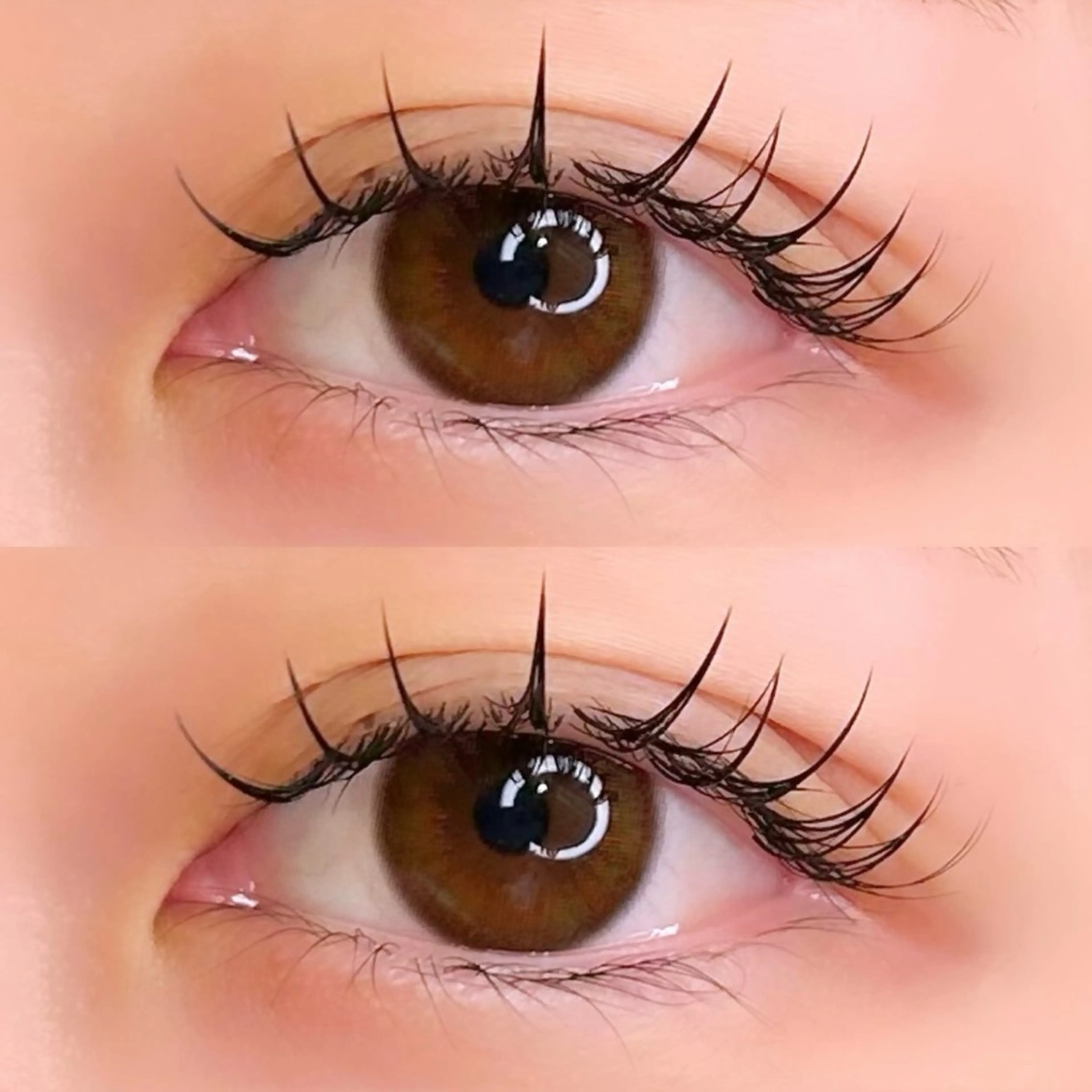 マツエク・マツパ 束感まつ毛 フラットラッシュ マツエク まつパ/マツエク/ 渋谷momokaのマツエク・マツパデザイン