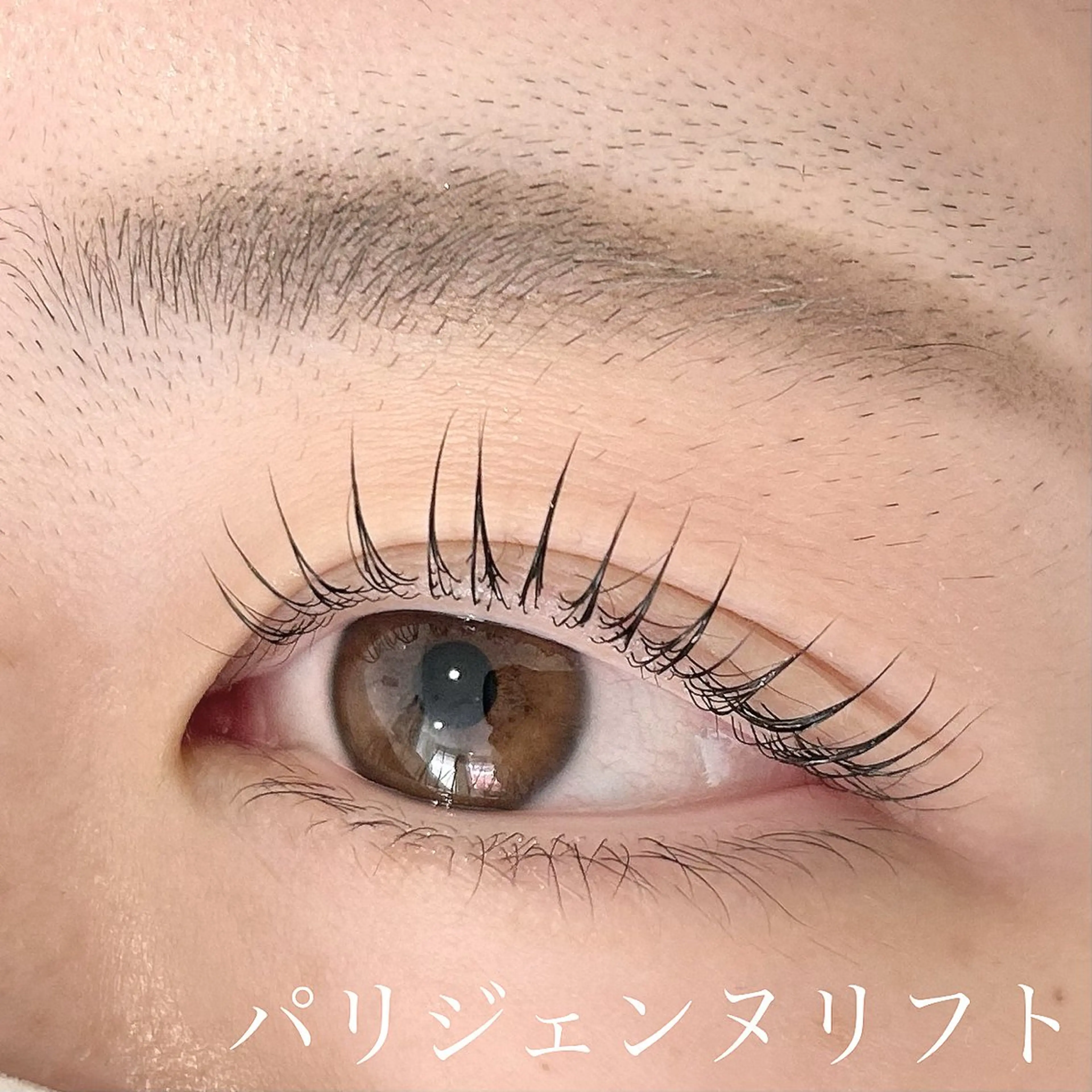 マツエク・マツパ リディーブ池袋☽ Hitomiのマツエク・マツパデザイン