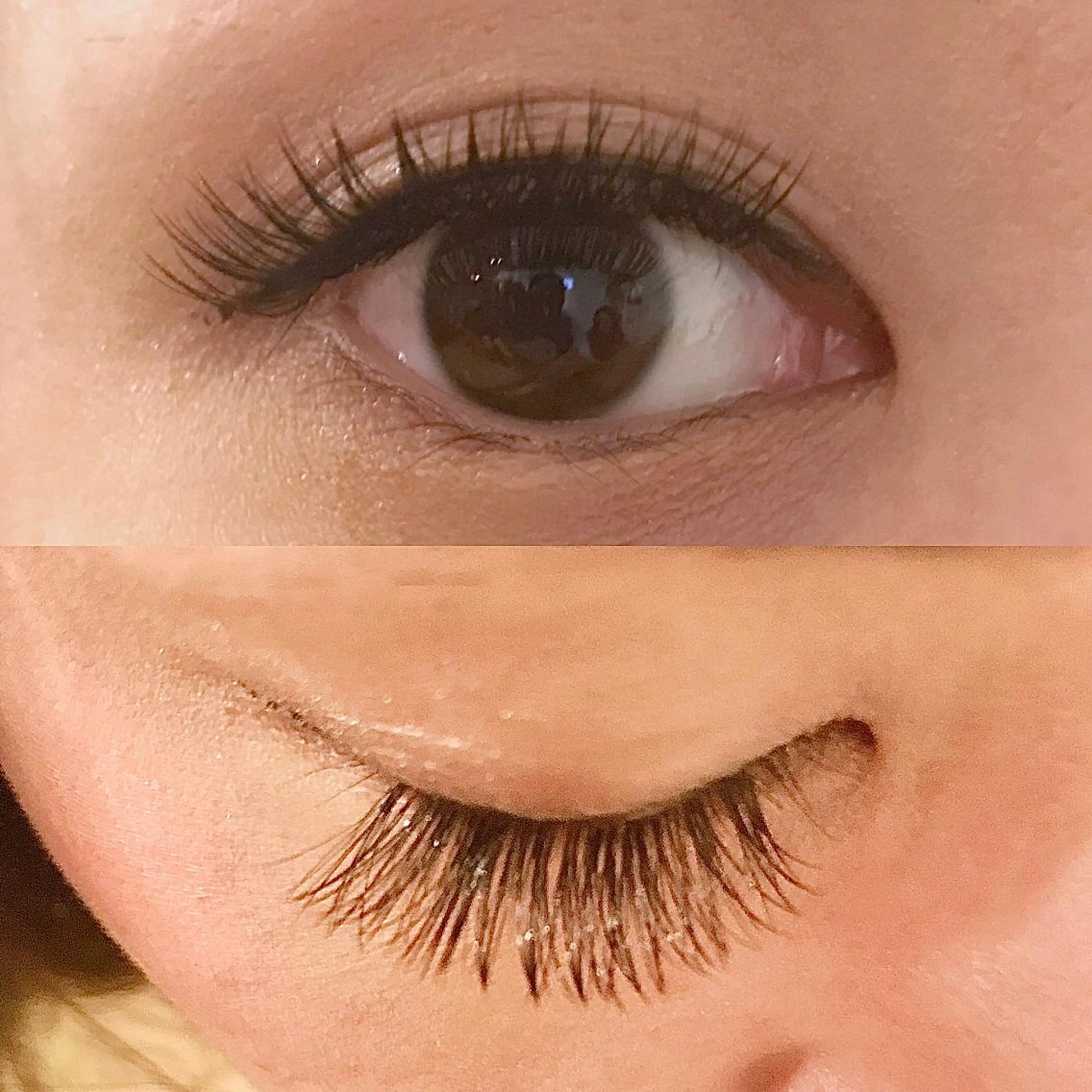 マツエク・マツパ Pljoul《プリジュール》所属・Pljoul🤍 天満橋のマツエク・マツパデザイン