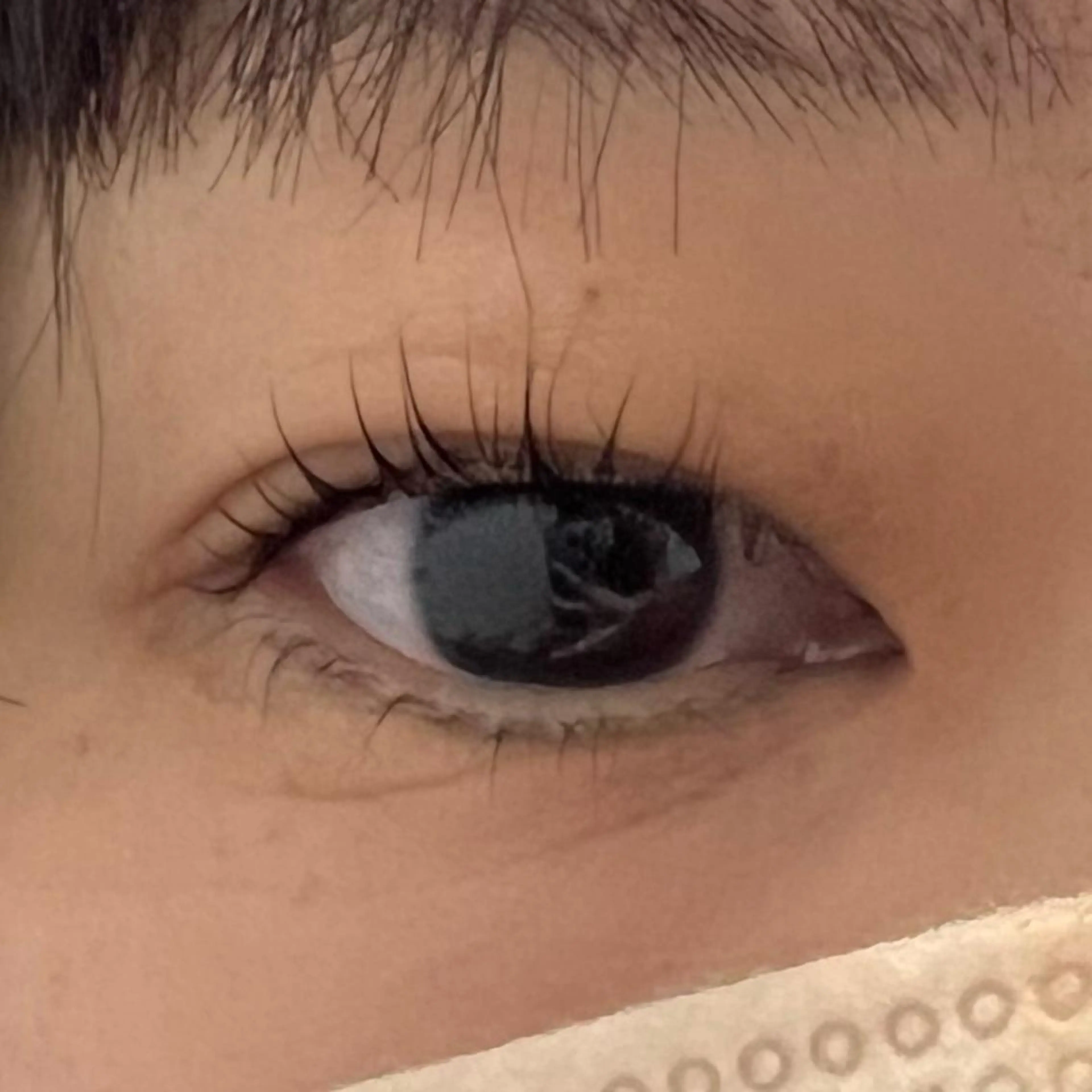 マツエク・マツパ miel中百舌鳥所属・miel yamaguchiの眉毛・アイブロウイメージ