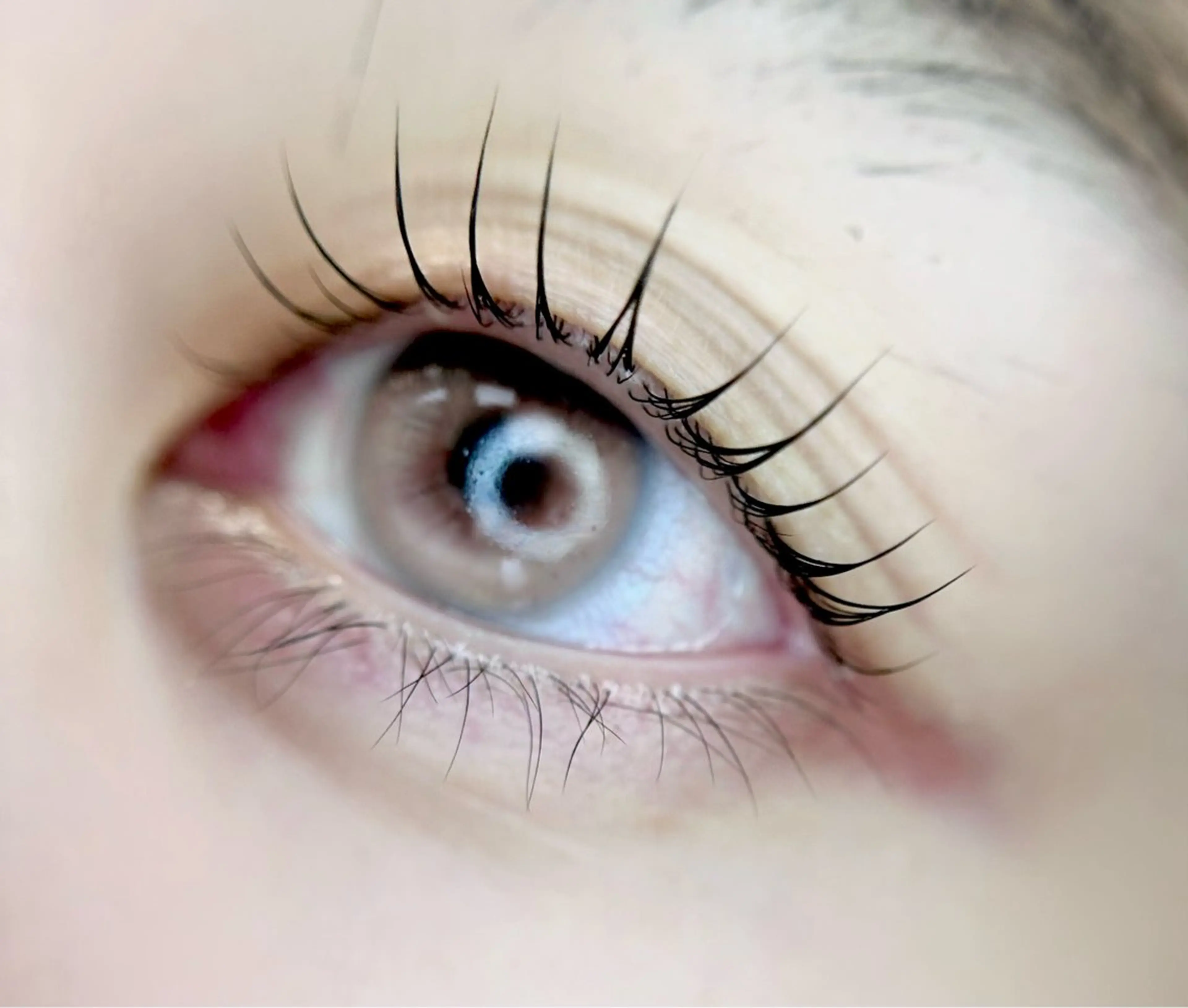 マツエク・マツパ eyelist. mizuki🐈⬛の眉毛・アイブロウイメージ