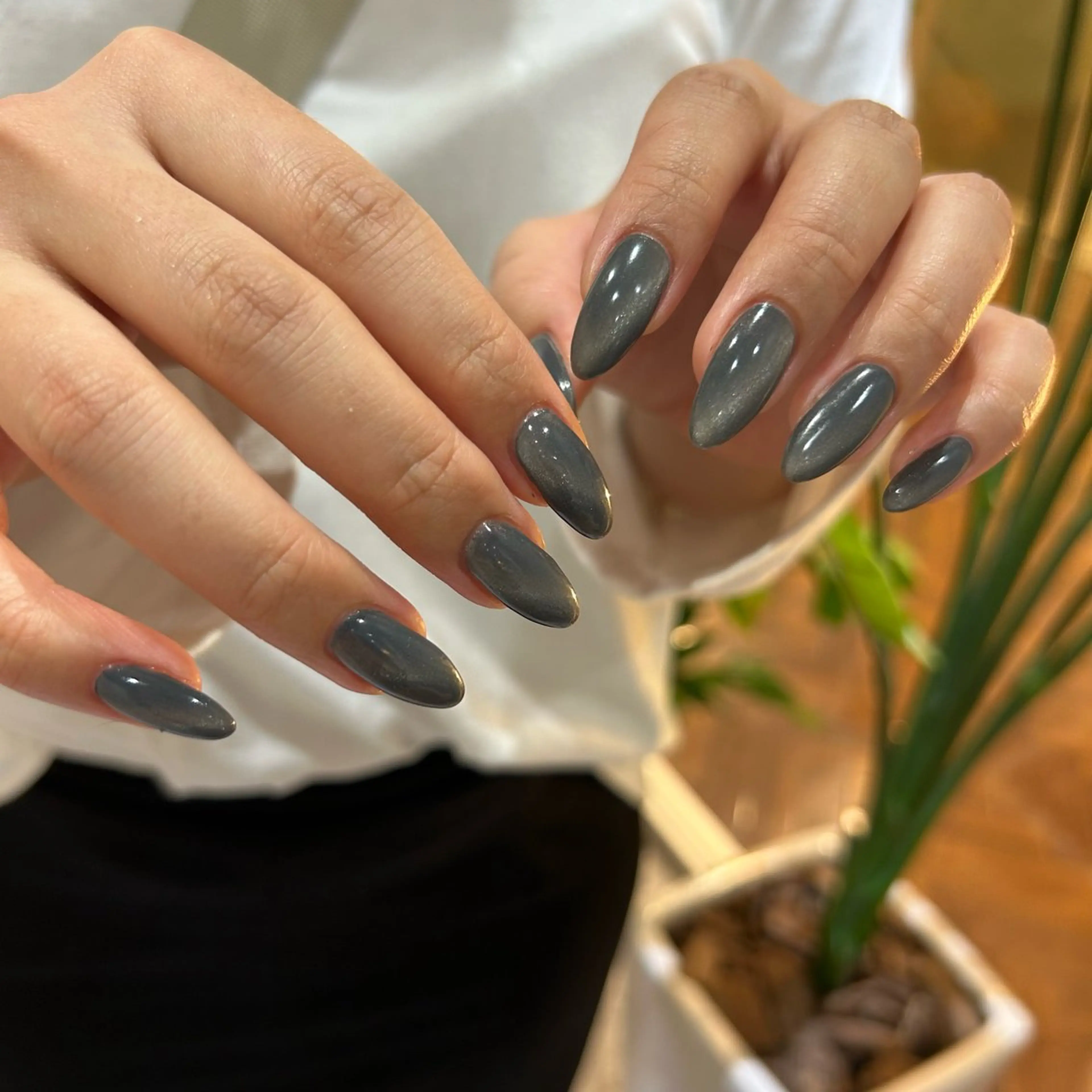 ネイル マグネットネイル Zina🌙 SHIORIのネイルデザイン