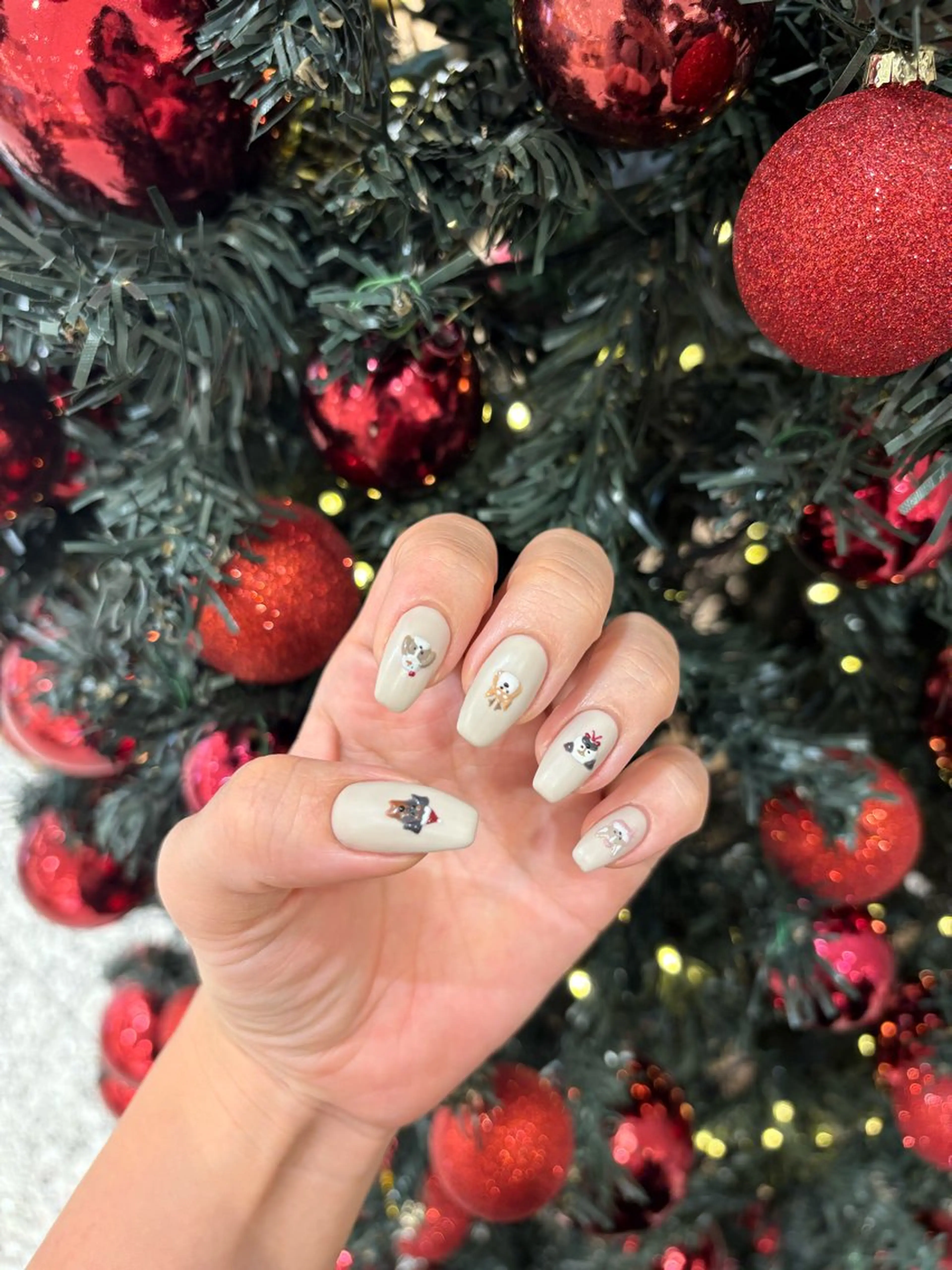 セミロング ハンドネイル CLALA ayumi❄️のネイルデザイン