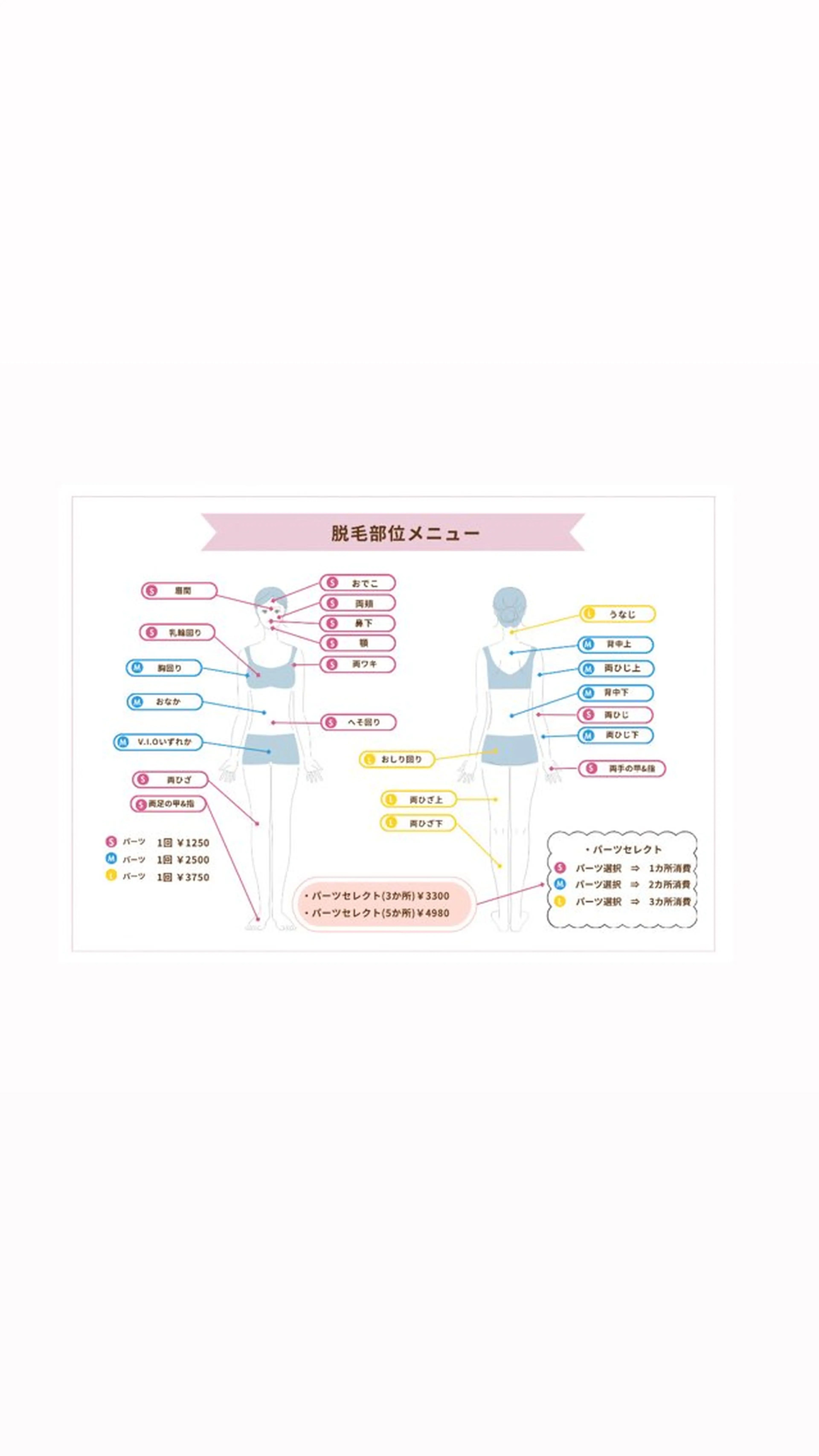 Ｌパーツ脱毛（お尻回り、うなじ、両ひざ上、両ひざ下）の写真